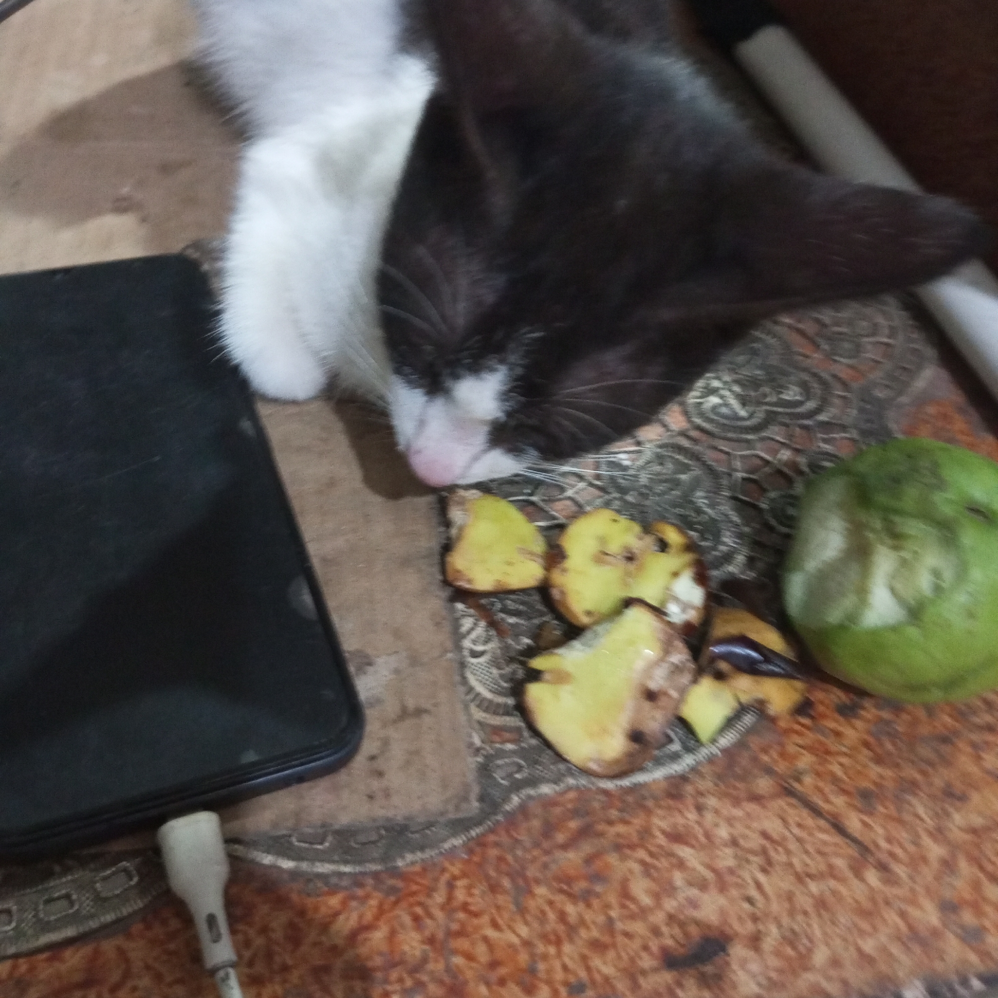 A black and white cat is sleeping next to a smartphone, some cut-up fruit, and a green fruit that appears to be a guava, on a patterned surface that is likely a mat or tablecloth. The scene is indoors, as indicated by the artificial lighting and the presence of common household items. The cat is lying on its side, with its head resting on its paws. The smartphone is black and appears to be charging, with a white cable plugged into its port. The cut-up fruit is yellow and appears to be some type of melon or fruit with a similar texture. The guava is whole and green, with a bite mark on it. The patterned surface is intricate and appears to be made of fabric. The background is a mottled brown color, suggesting a wooden table or floor. The overall impression is one of a relaxed and domestic scene. The location in the city of Cibatuireng, Indonesia is not visually discernible from the image.