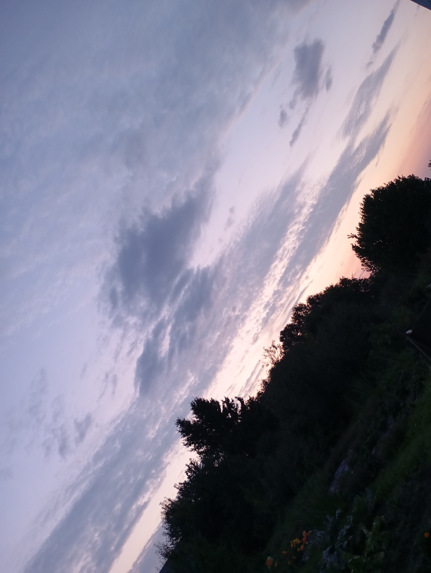 The image depicts a dusky sky with scattered clouds in shades of gray and pale pink, suggesting either sunrise or sunset. The sky takes up approximately two-thirds of the frame, angled diagonally from the lower left to the upper right. In the lower right portion of the image, a silhouetted treeline is visible, with dark green foliage against the lighter sky. The ground below the treeline is also dark and appears to be covered in grass and some rocks. A single orange flower is visible in the lower right corner of the image. The overall scene is outdoors and appears to be a natural landscape. The image does not contain any people or discernible structures that would place it within a specific urban location like the city of Фоки, Russia.