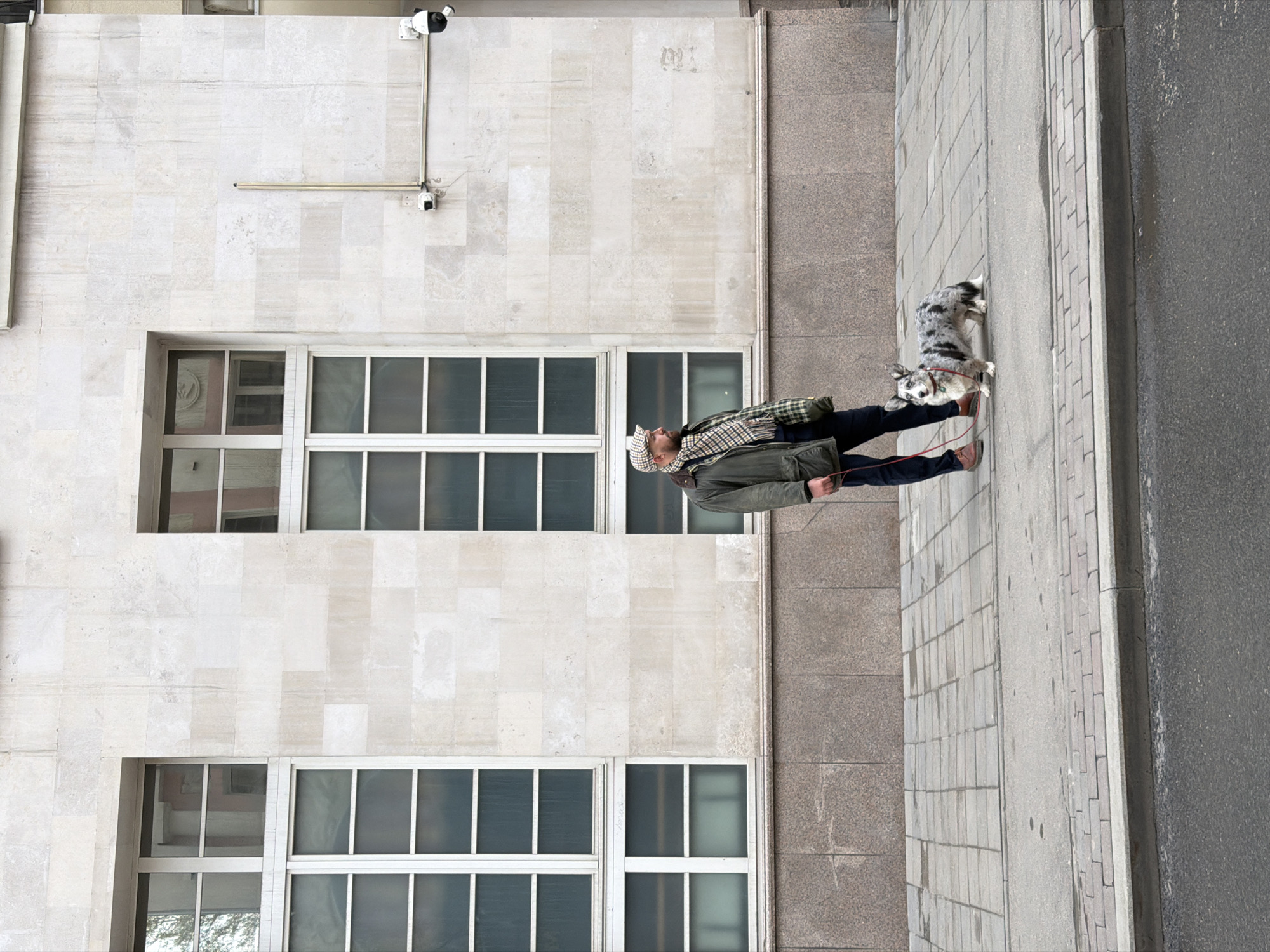 A man in a green jacket, plaid scarf, and hat walks a gray, white, and black spotted dog on a leash along a sidewalk in front of a building. The building has several rows of windows and two security cameras mounted on the upper section. The street borders the sidewalk and building. The location is most likely Moscow, Russia, based on the architecture and materials.