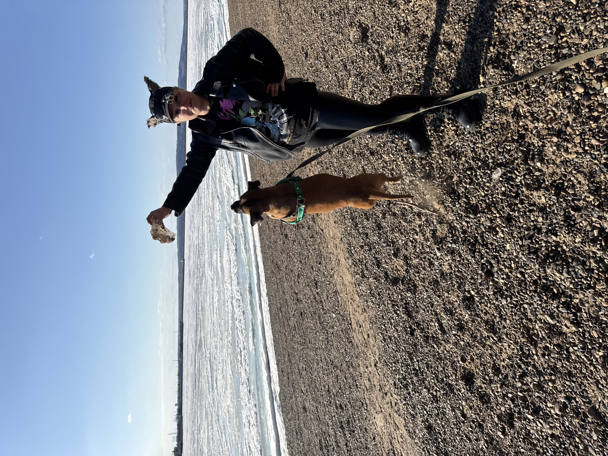 A medium shot depicts a person and a dog on a beach. The location is the city of Chaikovsky, Russia. The person, facing the camera, wears a black leather jacket, black pants, and black boots, and a head covering with possible ear-like protrusions. They are extending their left arm, holding what appears to be a rock or similar object. A brown dog on a leash is leaping towards the object. The beach is composed of pebbles and shell fragments. In the background, there is a body of water with a visible ice layer near the edge. The sky is clear blue.