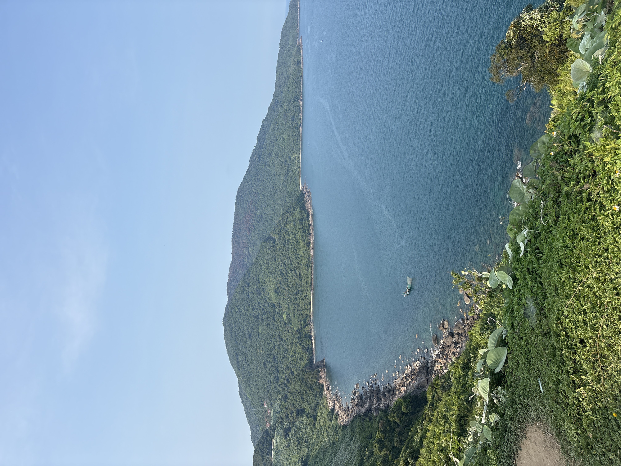 The image shows a coastline in Đà Nẵng, Vietnam. A peninsula covered in dense green vegetation forms the left side of the image. To the right of the peninsula is the ocean. The foreground features lush vegetation and overlooks the rocky coastline. In the distance, a small boat is visible in the water. The sky is a clear blue.
