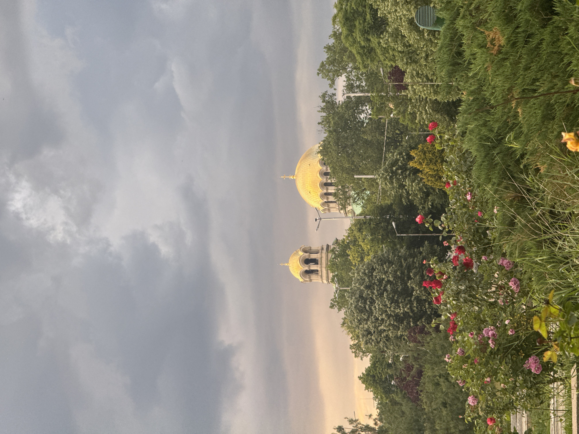 A majestic architectural structure with prominent golden domes, likely the Alexander Nevsky Cathedral, dominates the scene. The larger, main golden dome, topped with a cross, is visible on the left side of the frame, partially obscured by lush green trees. To its right, a smaller golden dome, part of a bell tower or secondary cupola, also rises above the foliage, featuring distinct arched openings.
The upper half of the image is filled with an overcast, cloudy sky, presenting various shades of grey. A lighter, almost pale yellow or orange hue is discernible along the horizon line on the right, suggesting either diffused sunlight breaking through the clouds or the time of day being early morning or late afternoon.
The foreground and the right side of the image are rich with dense green vegetation. Various types of trees with leafy and coniferous foliage frame the cathedral. In the lower right, vibrant rose bushes display numerous blossoms in shades of red and pink, adding vivid color to the otherwise green landscape. Grass and other smaller plants are also visible in the immediate foreground. Some urban fixtures, such as light poles, can be subtly seen peeking through the trees. No people or text are visible in the photograph. The scene conveys a sense of grandeur and natural beauty under a dramatic sky in Sofia, Bulgaria.