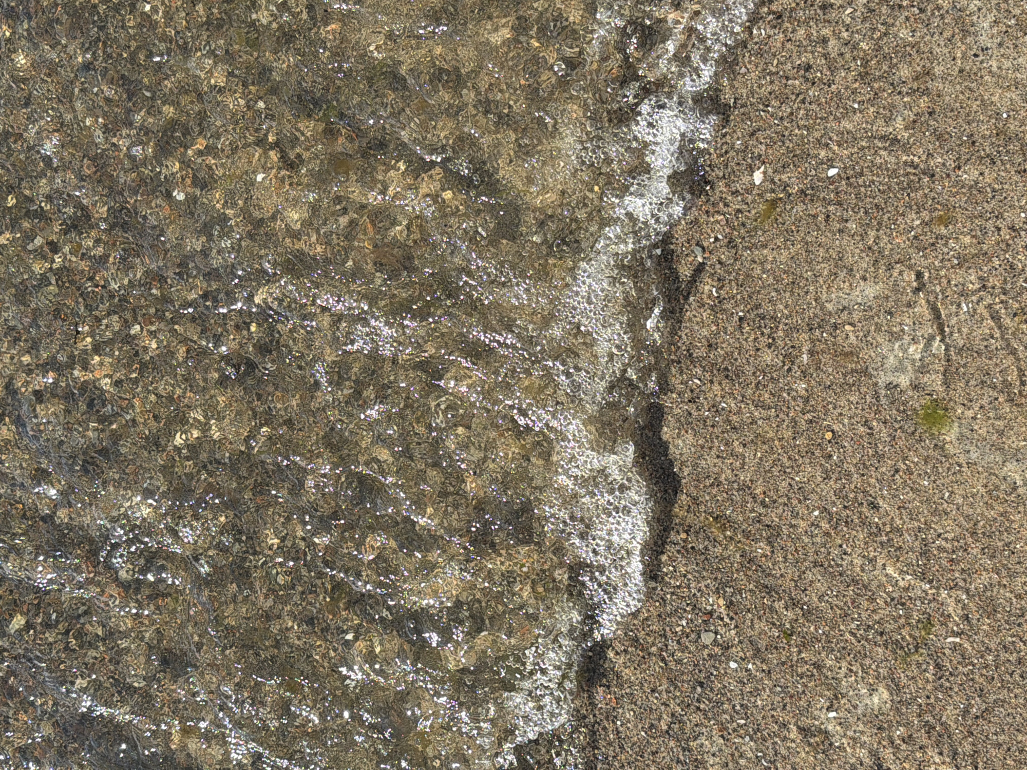 The image depicts a close-up, top-down view of a shallow body of water meeting a sandy shore. The water is clear and exhibits a textured, rippled surface, with sunlight reflecting off it, creating sparkling highlights. Beneath the water, the seabed is visible, appearing to be composed of small pebbles and sand. A thin line of white foam or bubbles marks the edge where the water meets the land. The shore itself is sandy, with small pebbles and occasional flecks of what appears to be seaweed scattered across its surface. The scene is natural and appears to be a tranquil environment, potentially a beach or the edge of a lake or calm sea. The image does not contain any people, man-made structures, or elements that would specifically place it within the city of Tallinn, Estonia.