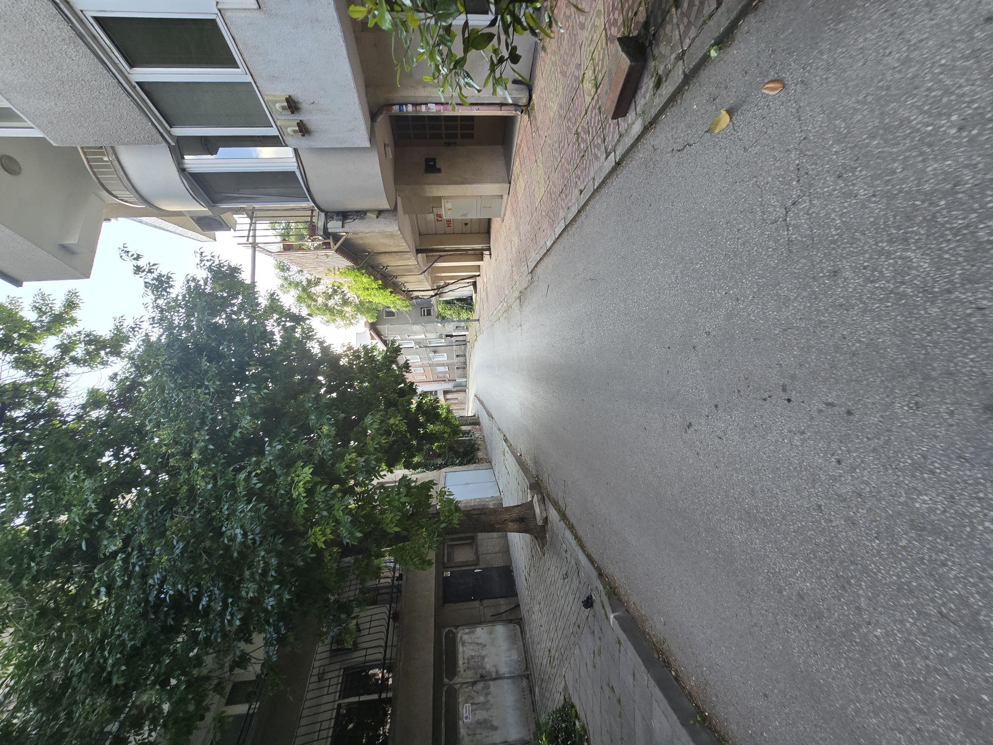 The image displays a quiet, empty urban street on a bright day. The perspective is an oblique, slightly elevated view looking down the length of the road, which appears to be gently sloping.
On the left side of the street, multi-story residential buildings are visible, characterized by light-colored, textured facades, balconies with metal railings, and large windows, some fitted with external screens or blinds. A large, leafy tree with dense green foliage dominates the foreground on the left, its branches extending over the sidewalk and partly into the street. Its trunk is rooted near the sidewalk. Further down, more buildings line this side of the street. Near the base of one building, beneath the tree, there's a dark, possibly metallic, double door or gate, on which the partial text "ZEL" is barely visible, and another lighter door or panel.
On the right side of the street, a paved sidewalk made of reddish and yellow-toned rectangular tiles runs alongside the buildings. The sidewalk is bordered by a curb separating it from the main road. The road itself is made of grey asphalt, showing some minor cracks. Two fallen leaves, one yellow and one brown, are visible on the asphalt in the foreground.
Between the buildings on the right, above the tiled sidewalk, a recessed entrance or lower level of a building is visible, featuring a small window with horizontal panes and a white utility box or panel. On this white box, the letters "H E" are clearly visible. Green foliage from an unseen plant hangs over parts of this building facade.
The sky, visible in gaps between buildings and through tree branches, appears bright and clear, indicating daytime, likely sunny weather. No people or vehicles are present, giving the scene a serene atmosphere. The architectural style and materials suggest a modern urban setting, possibly in a European or Mediterranean region.