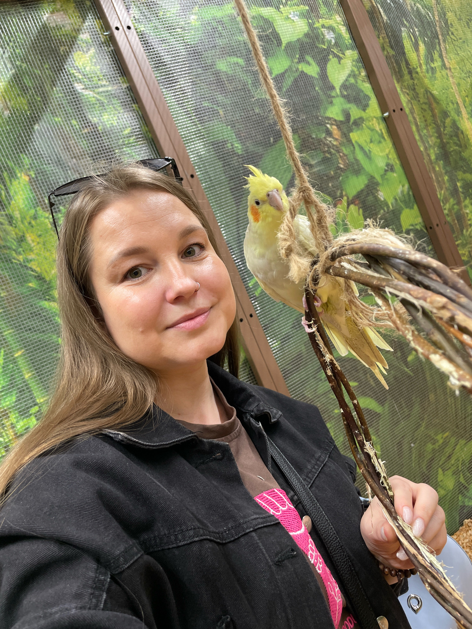 A woman is taking a selfie with a cockatiel perched on a natural branch swing. The woman has long, brown hair, and is wearing a black denim jacket over a brown t-shirt with a pink graphic. She has a nose ring and sunglasses perched on her head. The cockatiel is light yellow with orange cheek patches. The background appears to be an enclosure with a green, leafy mural and a wooden frame. The scene suggests a visit to a pet store or aviary. This image does not contain enough information to determine the location as Izhevsk, Russia.