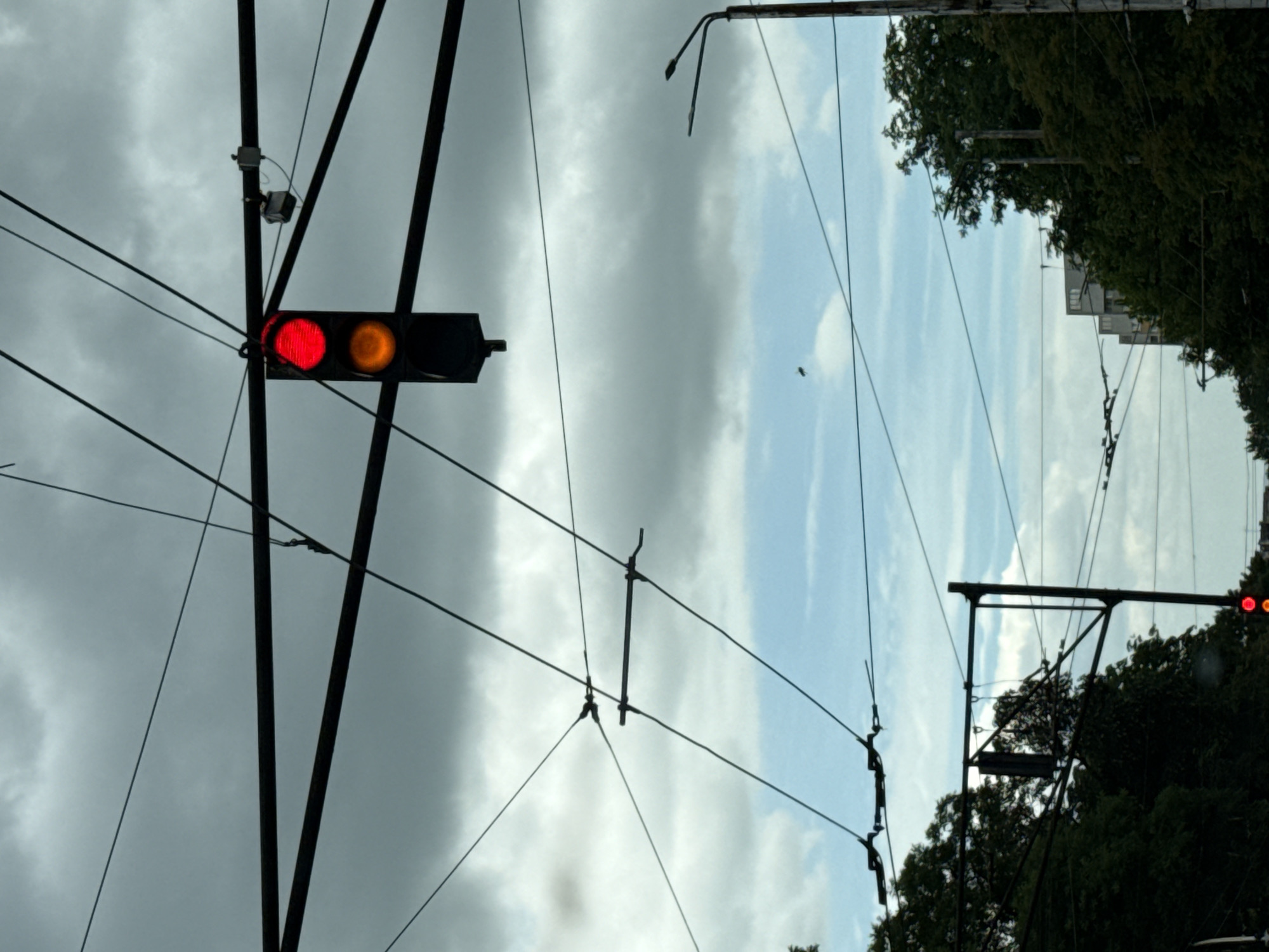 The image depicts a view of an overcast sky with complex overhead wires, likely for public transportation such as trams or trolleybuses, crisscrossing the frame. A traffic light is visible, displaying a red light and an illuminated amber light below it. In the distance, green trees frame the scene, with a modern building peeking through the foliage on the right. Another traffic light, displaying red, is partially visible at the bottom left. The composition suggests a street-level perspective in an urban environment, possibly in Pleven, Bulgaria, given the presence of overhead wires common in cities with tram systems. No people are directly visible in the frame, and no specific actions or interactions are captured. The overall atmosphere is somewhat subdued due to the cloudy weather.