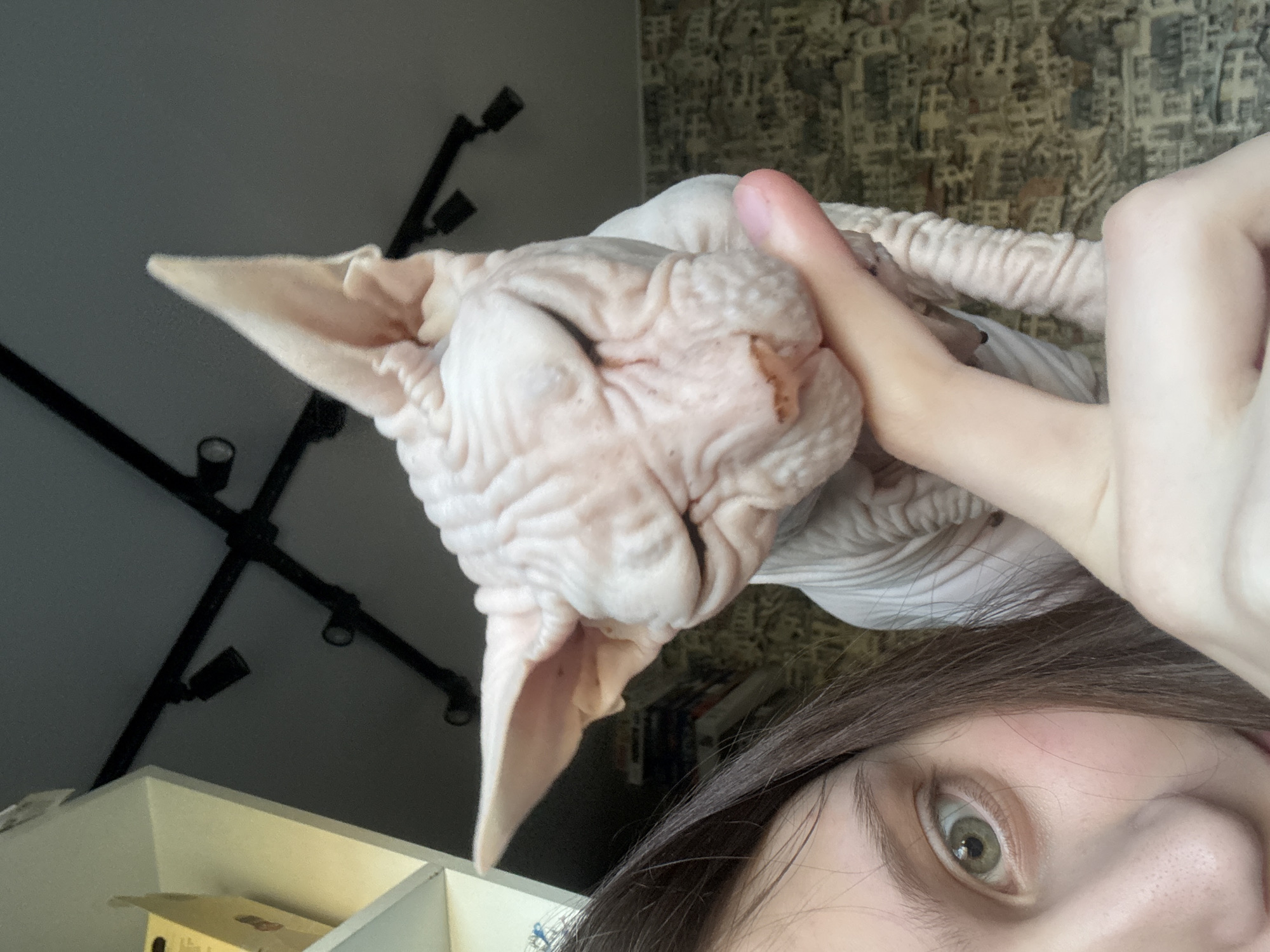 A close-up, rotated selfie captures a woman with dark brown hair and green eyes holding a Sphynx cat. The cat's wrinkled, hairless skin is light pink, and the woman's thumb is visible near its face. In the background, there's a patterned wall, a dark lighting fixture attached to the ceiling, and a white shelf with objects on it. The specific location within the city of Krasnoyarsk, Russia, cannot be determined from the image.