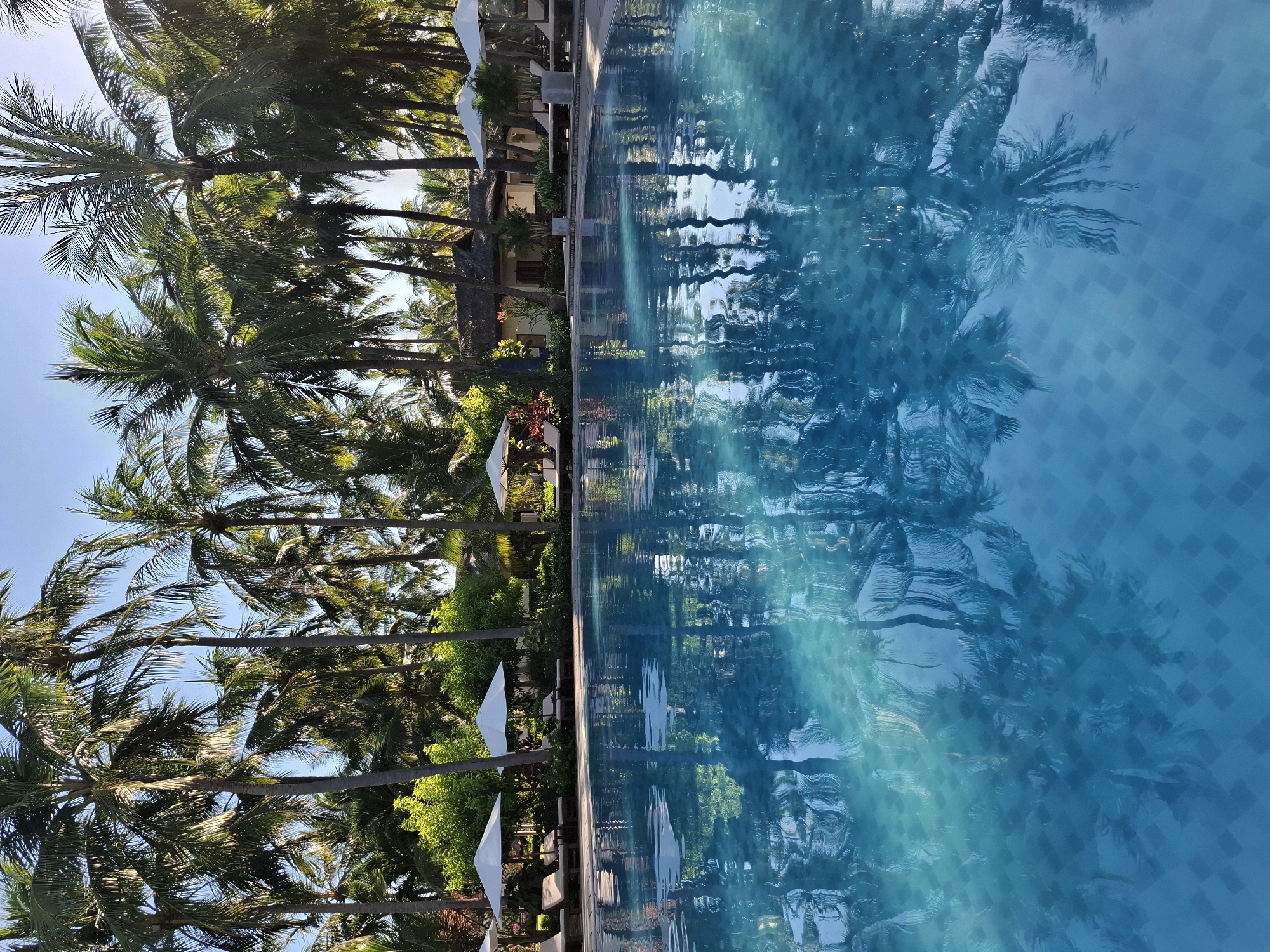 The image shows a swimming pool in front of a resort with palm trees and a thatched-roof building in the background. The pool water is a bright blue and reflects the palm trees and the sky. Several lounge chairs and white umbrellas are visible by the poolside. The scene appears to be a sunny day in Phu Thuy Ward, Vietnam, a resort area known for its beaches and tropical environment. There are no people visible in the image. The resort building has a traditional Vietnamese architectural style with its thatched roof. The overall impression is one of a peaceful and relaxing tropical vacation spot.
