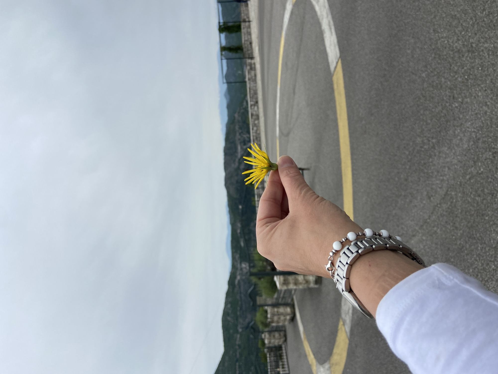 A hand holds a yellow flower in front of a backdrop of a gray overcast sky, mountains, and a road surface. The road features white and yellow painted lines forming a circular design. The hand is adorned with a metal watch and a beaded bracelet. In the background, there are hints of green vegetation on the mountains. The location is Lipa Dobrska, Montenegro.