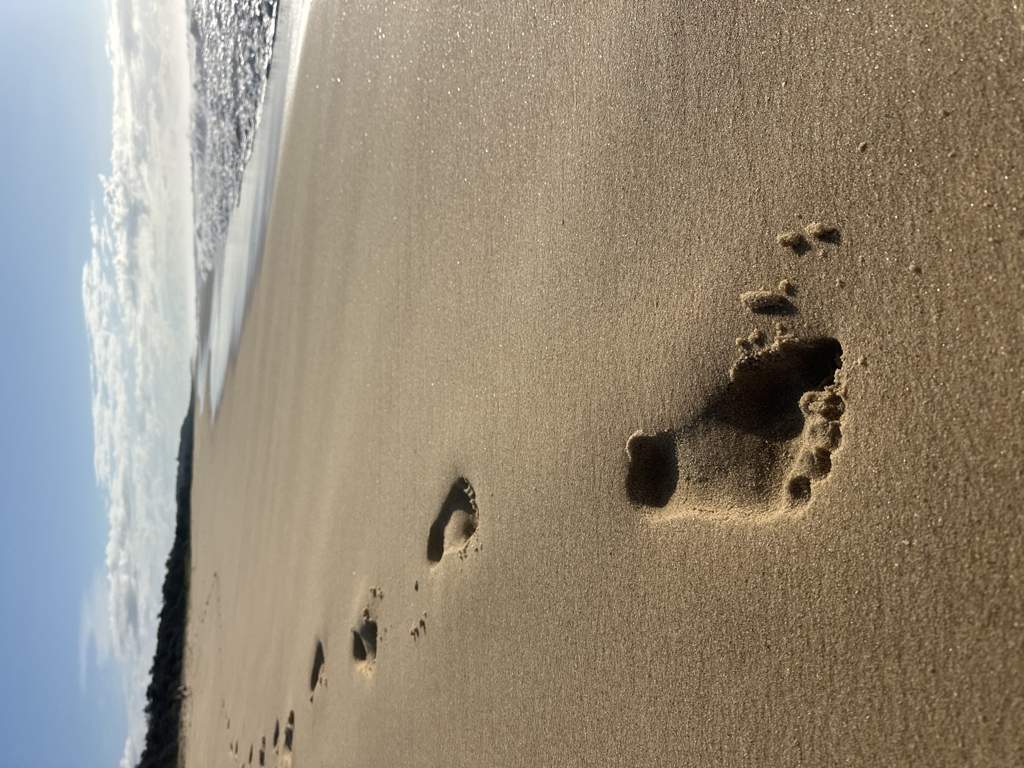 A low-angle shot captures a line of footprints impressed in the wet sand of a beach. The footprints are oriented from the lower left of the frame towards the upper left, indicating a person walking away from the viewer. The sand is a warm, golden color and glistens with moisture. In the background, the ocean rolls in, with gentle waves breaking on the shore and creating a line of white foam. The sky above is a clear blue, with a few scattered clouds. The overall scene evokes a sense of tranquility and solitude, possibly on a sunny day in Mylestom, Australia, known for its picturesque beaches and coastal landscape.