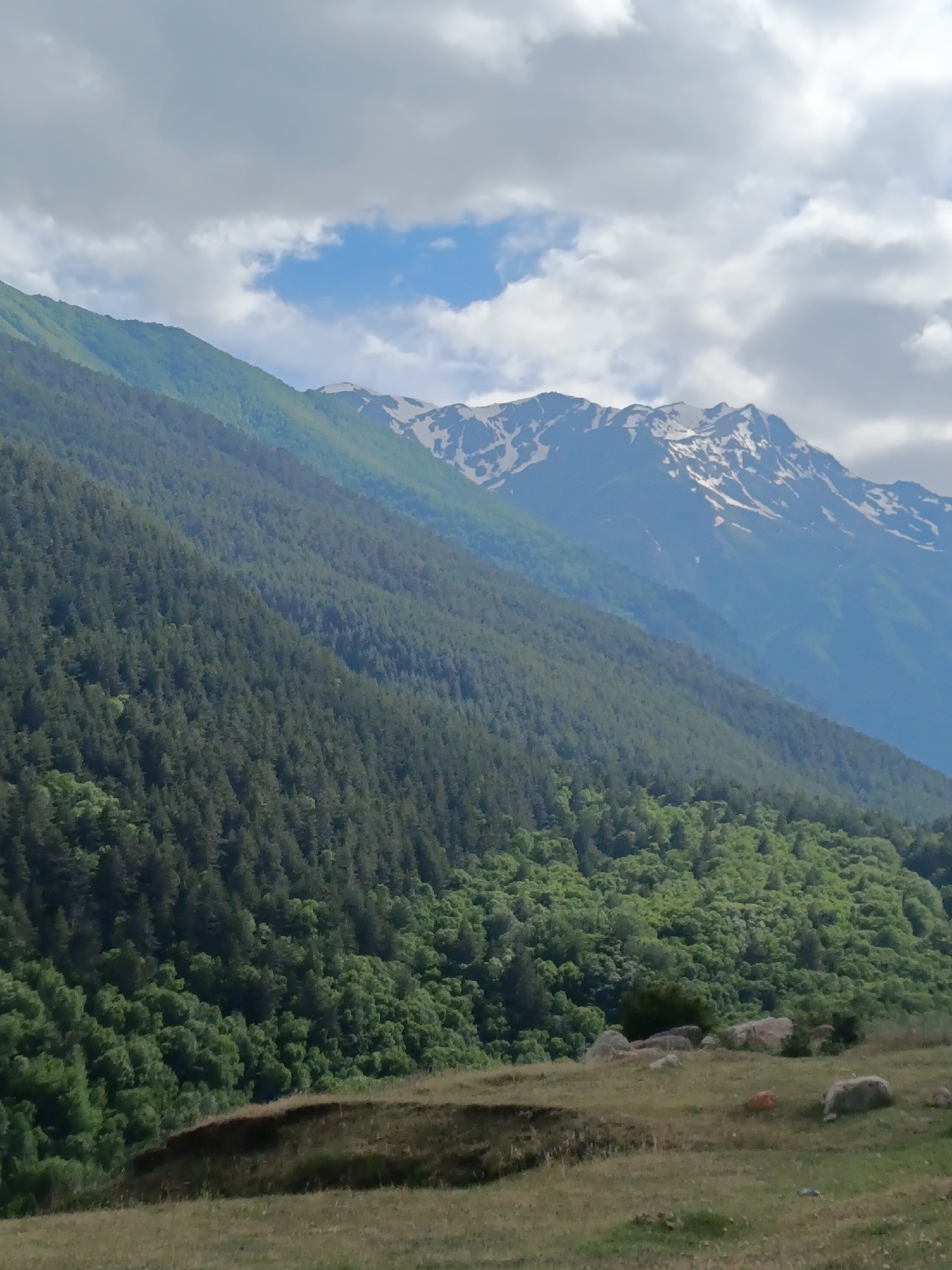 The image depicts a mountain landscape with a forest in the foreground and snow-capped peaks in the background. The sky is cloudy with patches of blue. In the lower foreground, there is a grassy field with some rocks and what appear to be two sheep grazing. The terrain is rugged and mountainous, with a dense forest covering the lower slopes of the mountains. The upper slopes of the furthest mountain range are covered in snow and rock. The lighting suggests it is daytime, with the sun potentially partially obscured by clouds. The scene is tranquil and natural, with no signs of human habitation other than the implied presence of the sheep.