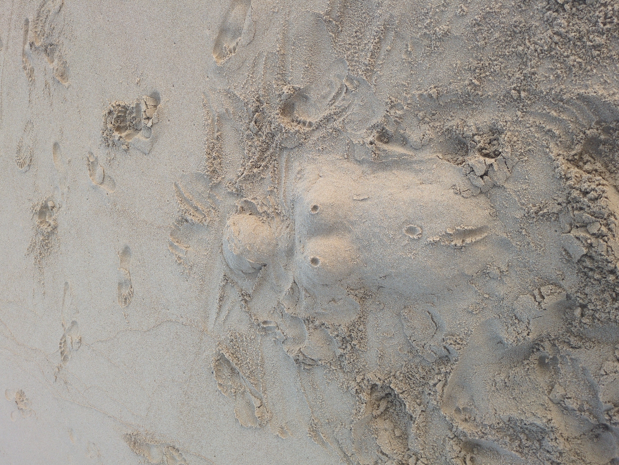 The image shows a close-up view of a sandy beach, likely in Tuy Hòa, Vietnam. The foreground features a partially constructed sand sculpture, vaguely resembling a face or head with two circular indentations suggesting eyes. The sand is mostly light beige in color with darker, coarser patches mixed in. Numerous footprints of varying sizes are visible across the scene, indicating recent human activity. The sand texture varies from smooth and compacted to loose and granular, especially around the edges of the footprints and sand sculpture. The overall scene is bathed in soft, natural light, enhancing the texture and shadows in the sand.