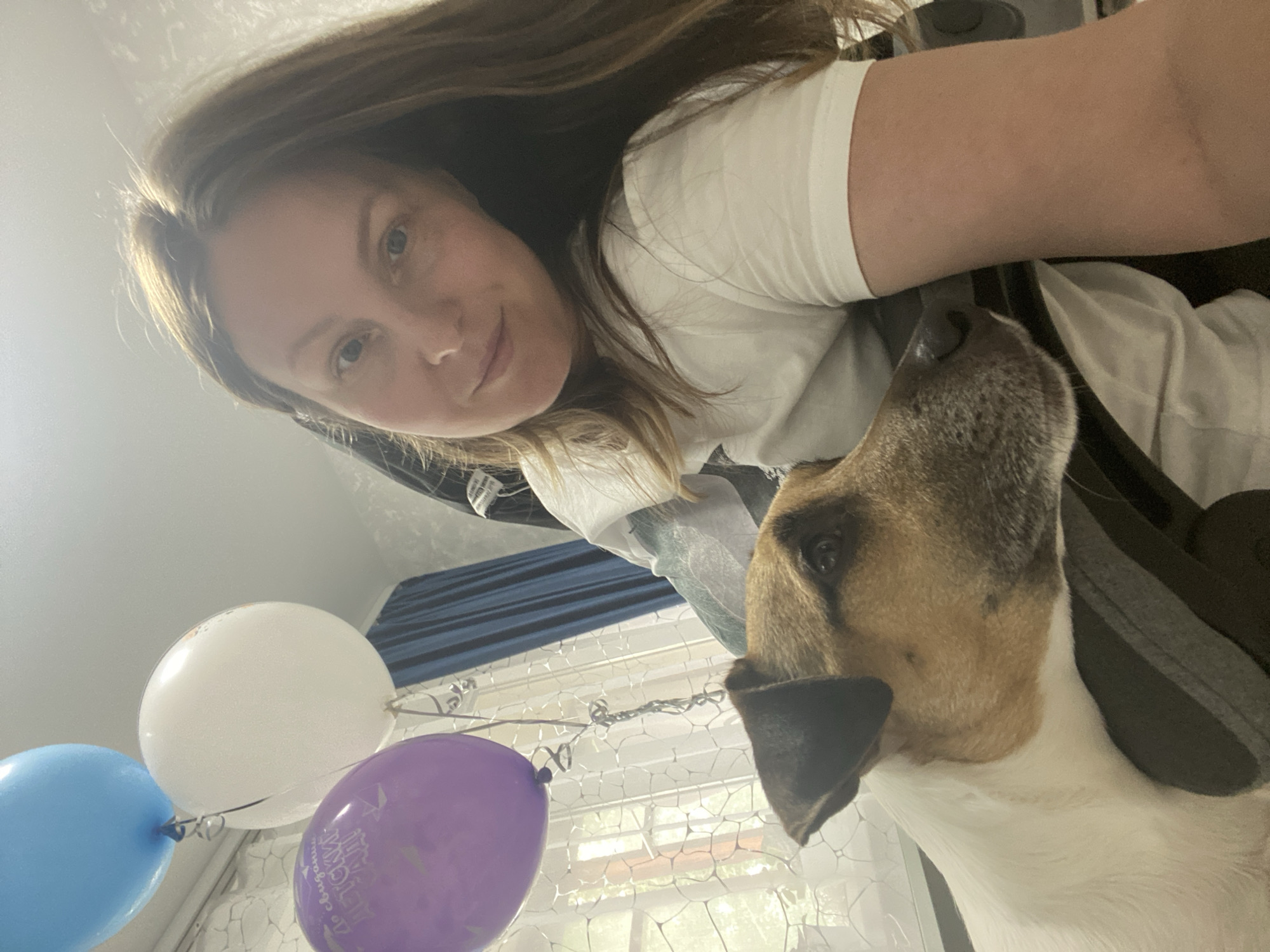 A woman takes a selfie with a dog. The woman has long brown hair and is wearing a white T-shirt. The dog is mostly white with a brown head and black nose. A blue, a white and a purple balloon are visible in the foreground. The location appears to be indoors, and there is a curtain in the background. It is not possible to confirm the location in the city of Noviy, Russia.