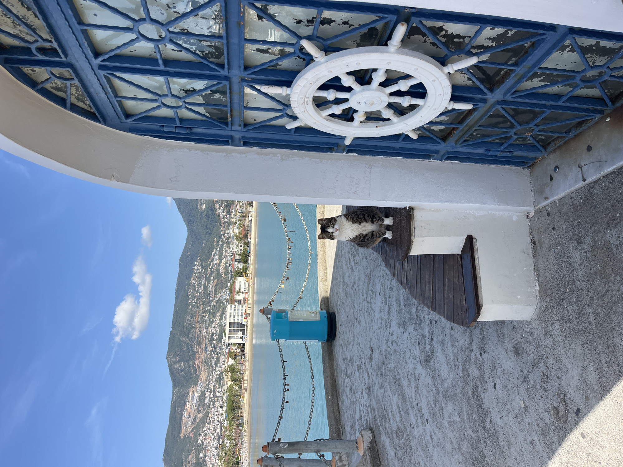 A gray and white cat sits on a wooden bench affixed to a white painted concrete structure with a blue painted metal ceiling. A white nautical steering wheel is attached to the ceiling. Behind the structure is a seaside scene. Turquoise water stretches to a shoreline lined with buildings and a mountain. A blue, cylindrical object with chain is in the foreground. The scene is a pier in Alanya, Turkey.