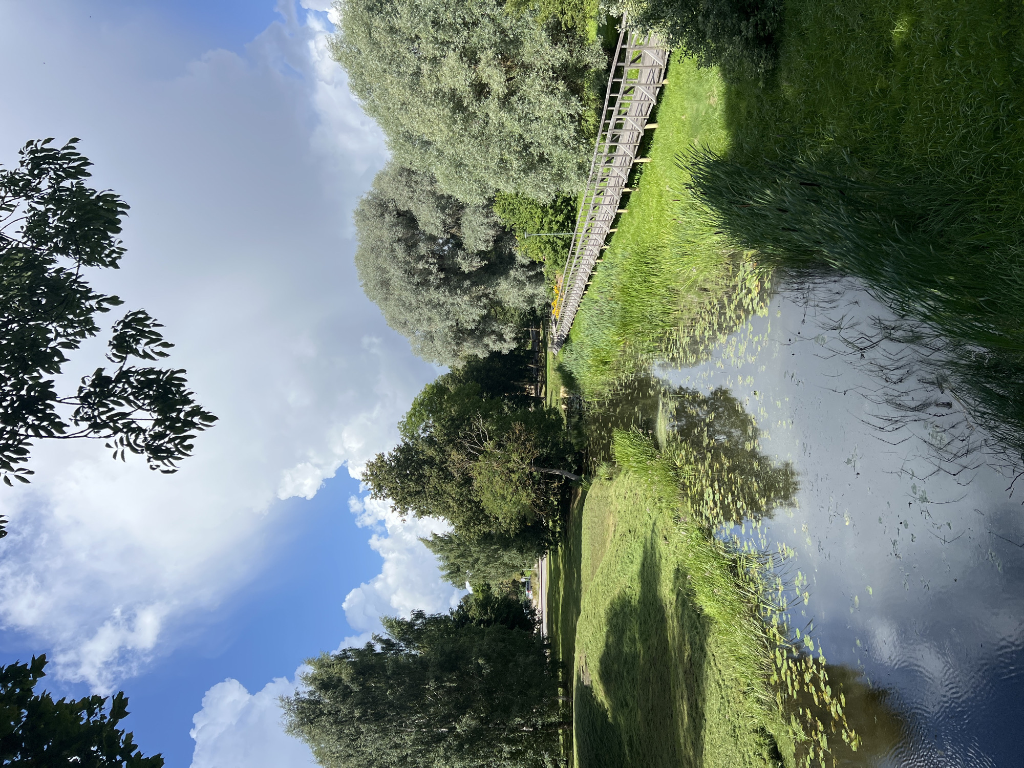 The image depicts a picturesque park scene in Saldus, Latvia, featuring a tranquil canal reflecting the bright blue sky and scattered white clouds. On the left bank of the canal, a neatly mown grassy slope is bathed in sunlight, casting dappled shadows from overhead trees. On the right bank, a long, wooden pedestrian bridge meanders along the water's edge, surrounded by lush green grass and reeds. Tall, mature trees with silvery-green foliage dominate the background, adding to the serene atmosphere. The canal itself is dotted with lily pads, and the water surface shows ripples from a gentle breeze. The scene is idyllic and peaceful, showcasing the natural beauty of the park.