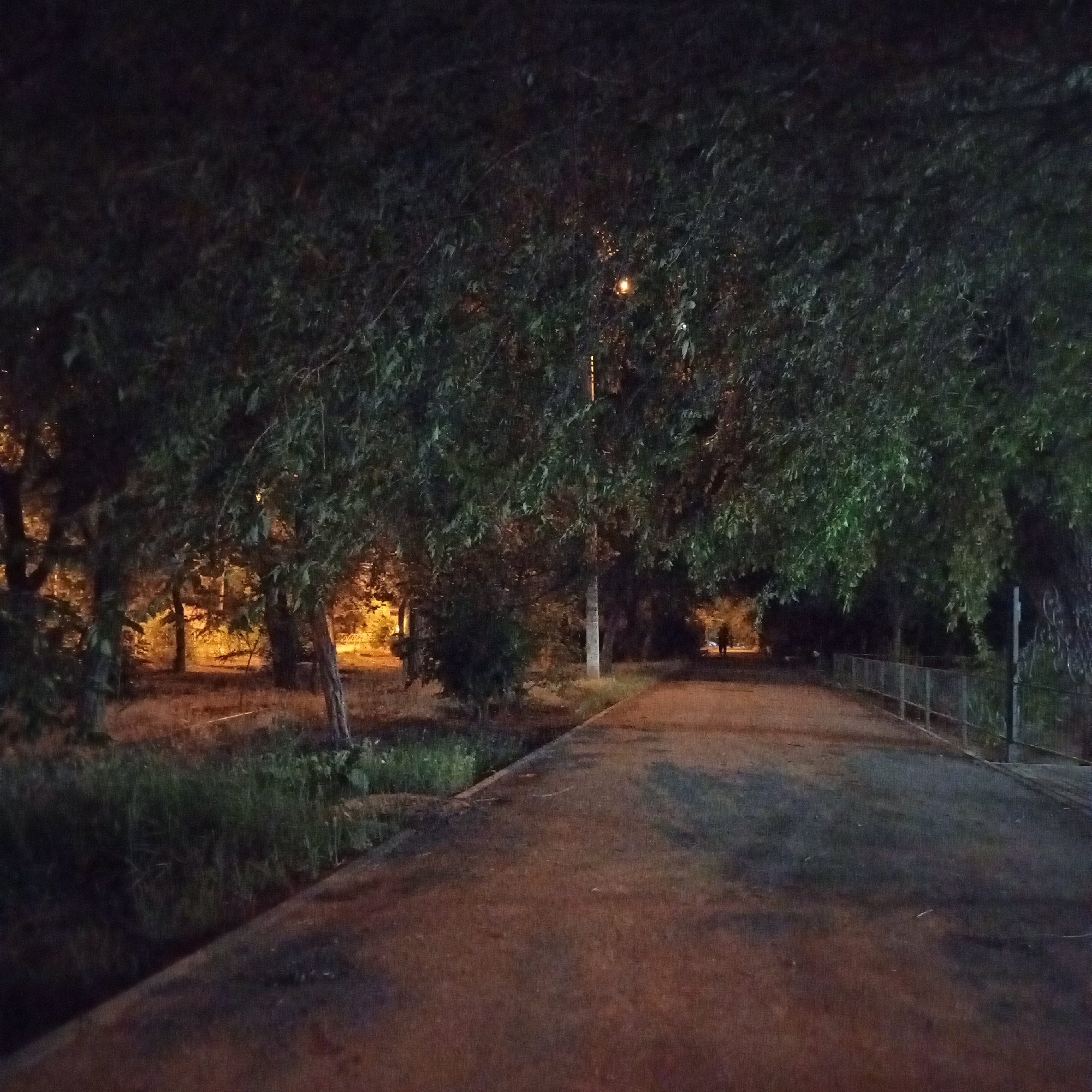 The image shows a paved path in a park at night, with dense foliage from trees bordering the path on the left and overhead. The path curves to the right and recedes into the distance. A faint, distant figure is visible walking away on the path. A metal railing runs along the right edge of the path. The park appears to be illuminated by artificial lighting, creating warm orange and yellow tones filtering through the trees in the background. The ground on either side of the path is covered in grass and dry leaves. The image was taken in Astrakhan, Russia.