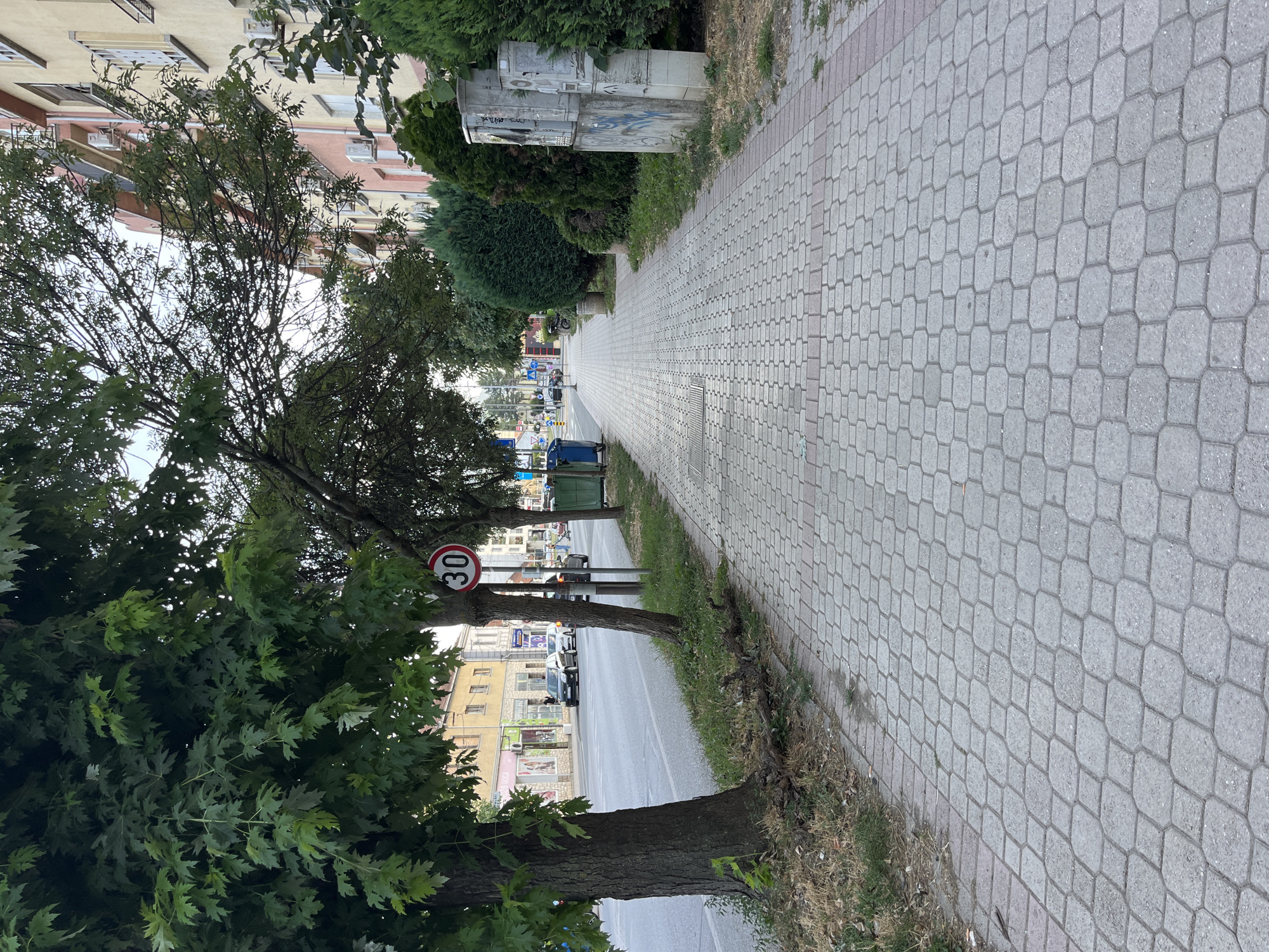 The image depicts a street scene in Čačak, Serbia. In the foreground, a paved sidewalk made of interlocking concrete blocks runs along the right side of the image. The sidewalk is bordered by a strip of green grass, and further to the right, there are several evergreen bushes and some concrete utility boxes with graffiti.
A street runs alongside the sidewalk to the left, with a lane for vehicular traffic. Several cars are visible on the street, and a speed limit sign indicating "30" is posted near a tree. The street is lined with buildings, some of which appear to be apartment blocks or commercial establishments, with various windows and balconies. Trees with green foliage are planted along the sidewalk, casting shadows on the pavement. In the background, the street continues, with more buildings and some distant traffic. The overall impression is that of a moderately busy urban environment during daylight hours.