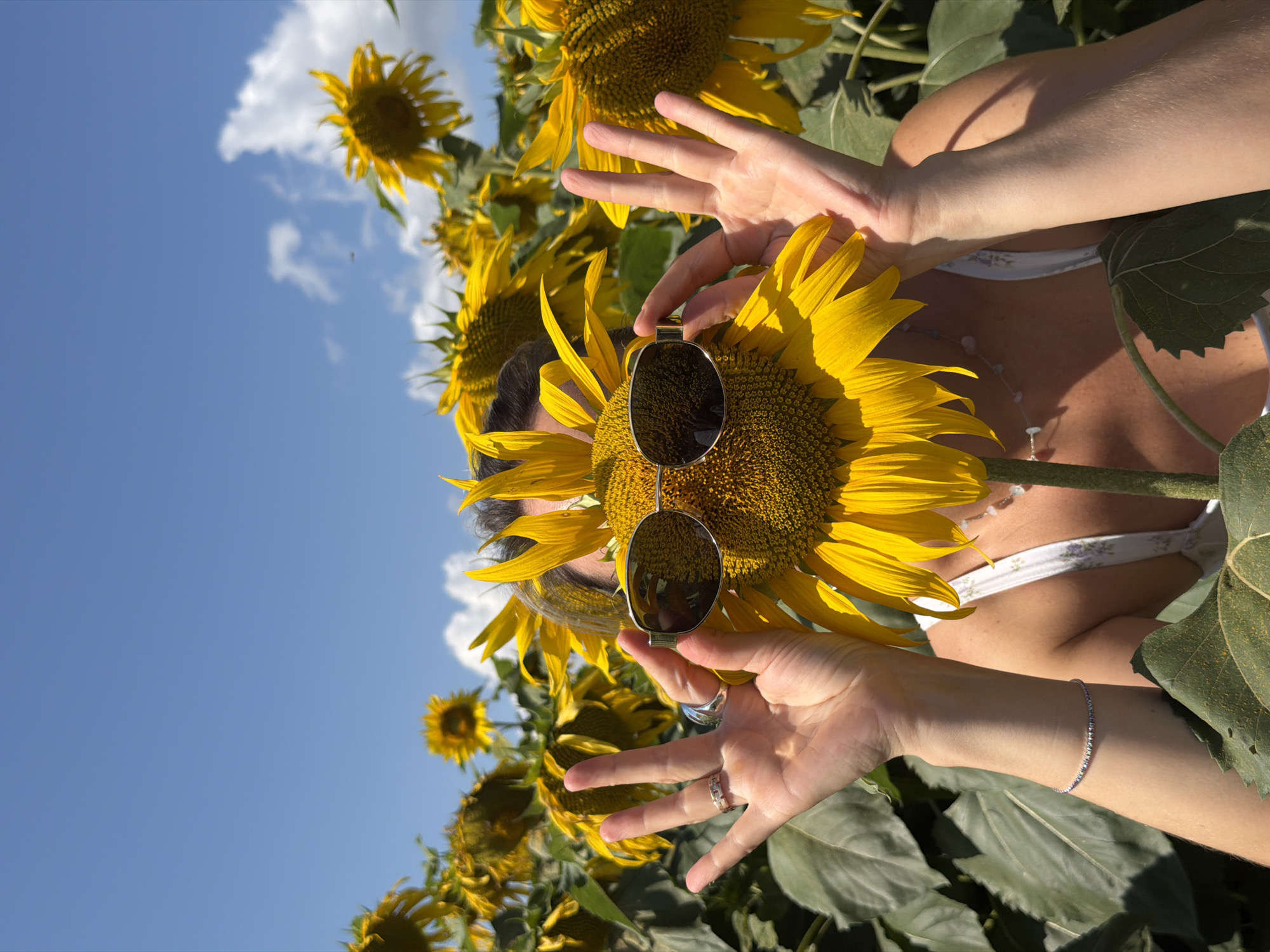 A person stands in a field of sunflowers under a bright blue sky with a few scattered clouds. The person is partially obscured by a large sunflower, holding a pair of silver-rimmed sunglasses over its center. Their hands are visible, one on each side of the sunflower, with fingers spread. They are wearing a white floral top and a delicate bracelet on their left wrist. The background is filled with more sunflowers, some in focus and others blurred. The image appears to be taken in a rural area, possibly a farm or a park, with no urban elements visible. The location of Izh-Boyki, Russia, is not discernable from the image itself.