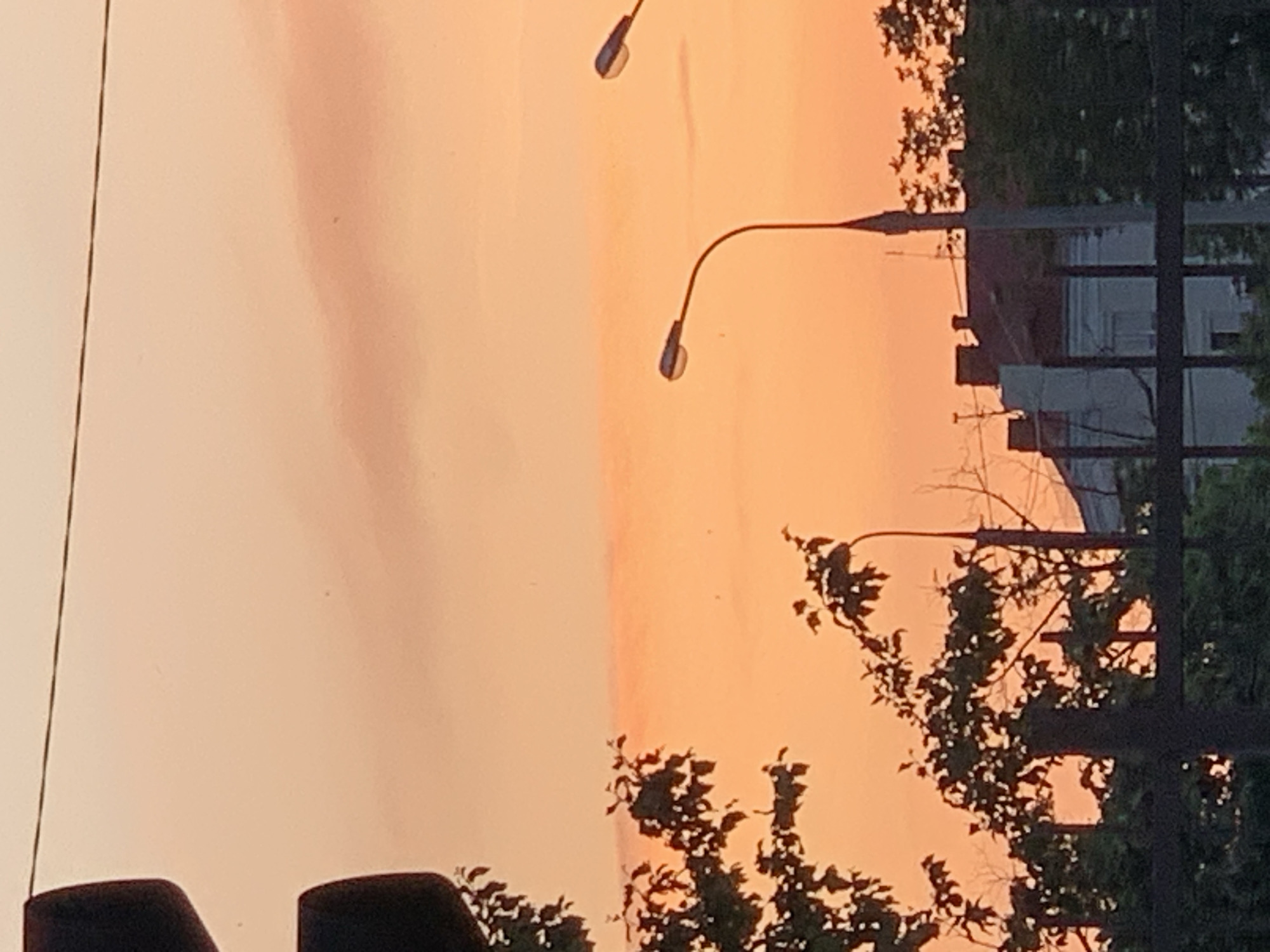 This is a photograph of a street scene at sunset. The sky is filled with a soft, warm, peachy-orange glow, indicating the sun is low on the horizon. The image is oriented vertically, with the ground elements appearing at the bottom and the sky at the top.
The scene features several streetlights, one with a curved arm and another directly overhead, both emitting a subtle light. Silhouetted against the vibrant sky are the branches and leaves of trees, some appearing sparse and others more dense. In the background, a building with windows is visible, suggesting an urban or suburban environment. A dark, possibly metallic structure, like a fence or railing, runs vertically along the right side of the frame, obscuring part of the background. At the very bottom, two dark, plush-looking chair backs are visible, implying the photograph might have been taken from inside a vehicle or a covered outdoor seating area, looking out.
The overall mood is serene and peaceful, likely captured during dusk. There is no visible text in the image.
