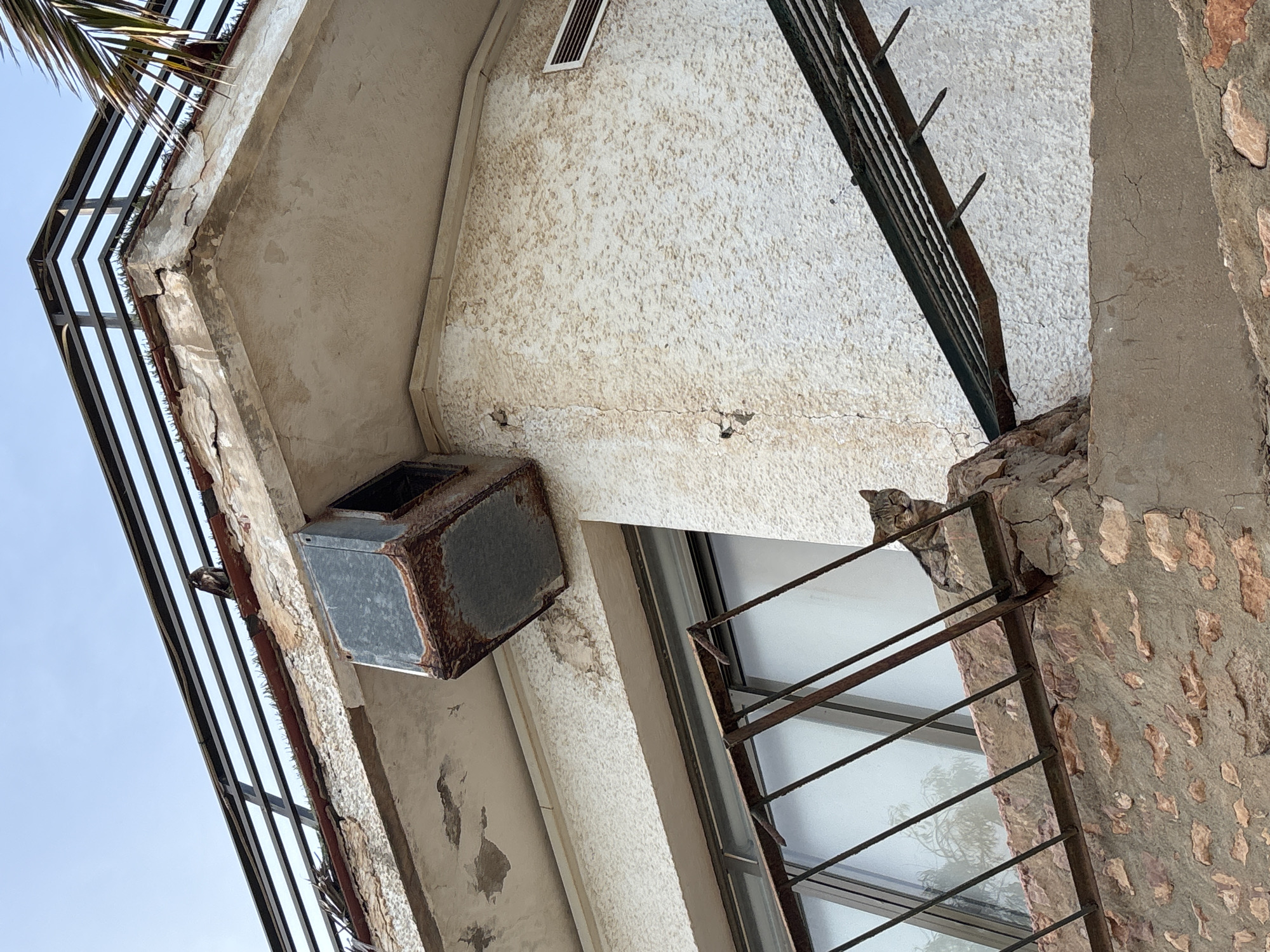 A tabby cat is perched on a stone ledge in front of a window. The cat is looking towards the camera with its eyes partially closed. A rusty metal railing is in front of the cat and window. The building appears to be old and in disrepair, with cracked plaster and visible rust on the metal elements. An air conditioning unit is mounted on the wall above the window. The background is a blue sky. The scene is likely located in Orihuela, Spain, given the architectural style.