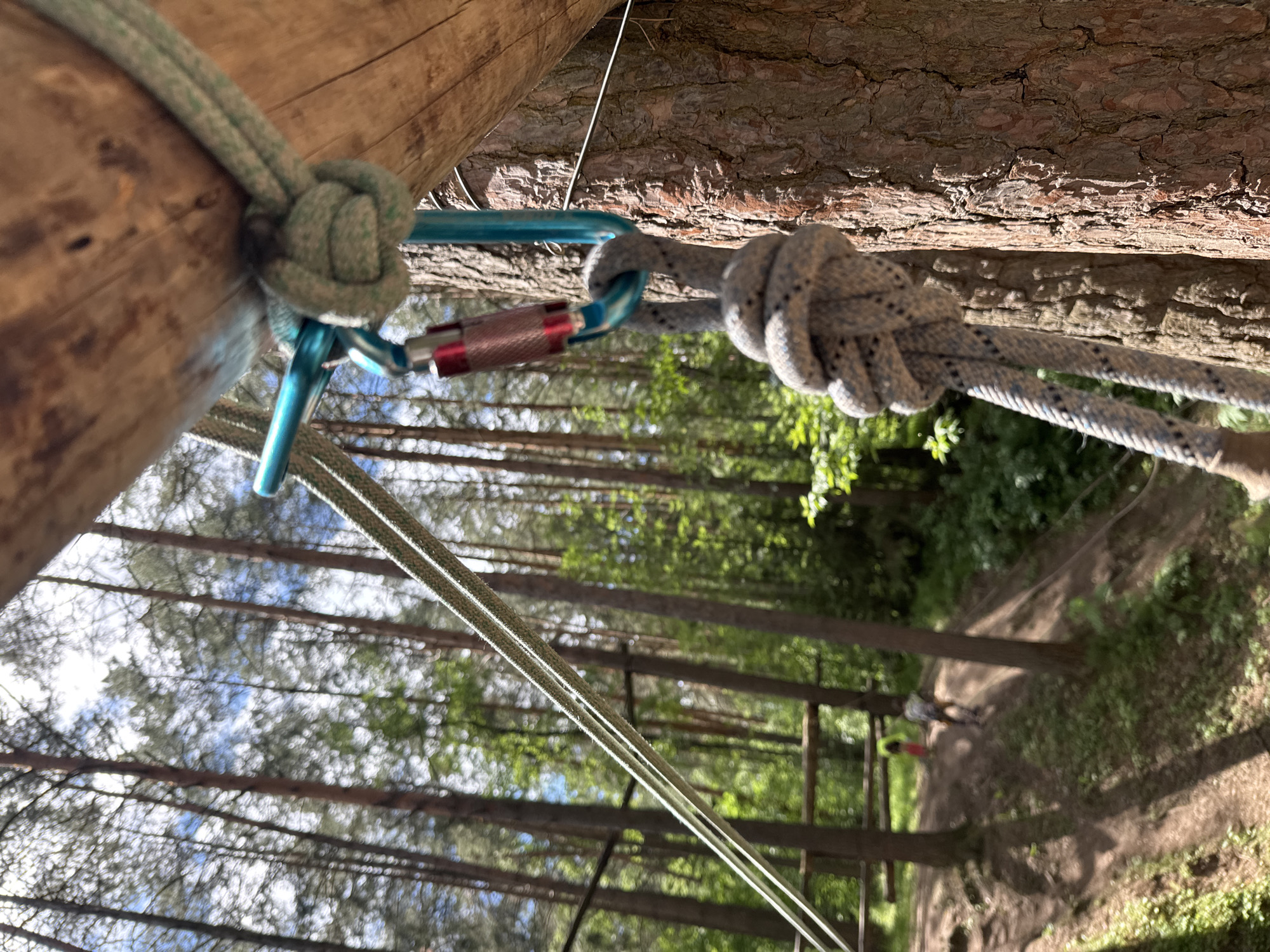 The image is a close-up, low-angle shot of a rope system attached to a wooden structure in a forest. In the foreground, a thick grey rope with a knot is suspended from a blue carabiner clipped to a turquoise metal bar, which is secured to a wooden beam. Another green rope is also visible, attached to the wooden beam with a knot. In the background, a blurred forest scene shows tall trees and sunlight filtering through the canopy. A dirt path winds through the trees, with a small figure of a person in a red shirt and another figure in dark clothing walking away from the camera. The environment suggests an outdoor recreational area, possibly a ropes course or adventure park. The location is identified as Chaikovsky, Russia.