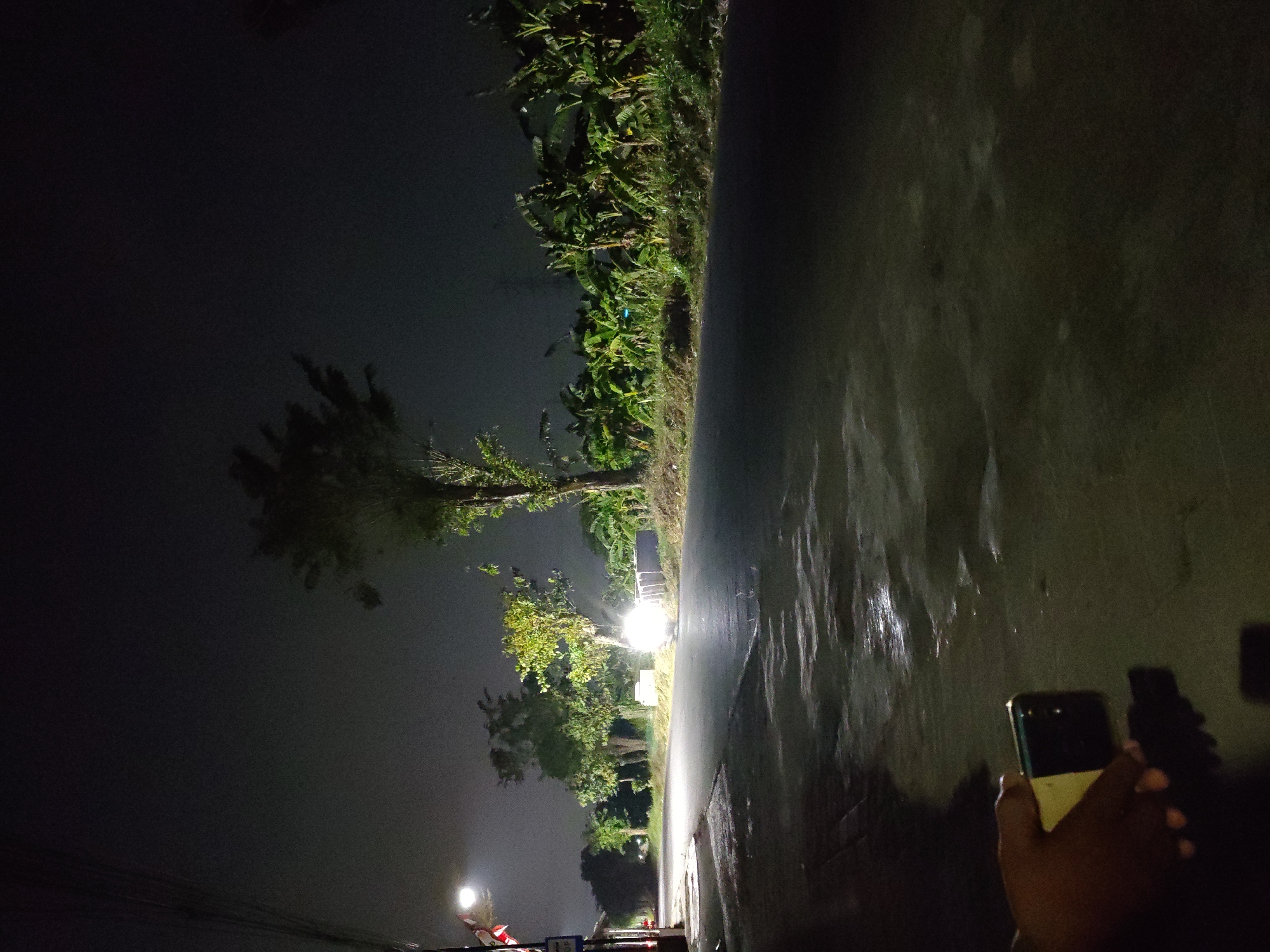 A night-time photograph depicts a wet, empty asphalt road with scattered reflections from overhead lighting. The road is flanked by a grassy embankment on the right, densely populated with banana trees and other vegetation. On the left side of the road, there is a sidewalk and a street light casting illumination onto the scene. The background features several trees and the dark night sky. In the foreground, a person's hand holds a smartphone, suggesting the image was taken by a mobile device. The scene appears to be on a rural or suburban road, potentially in an area with agricultural activity. The overall impression is one of a quiet, somewhat desolate, nighttime environment. There are no clear indicators pointing to the city of Surabaya, Indonesia.