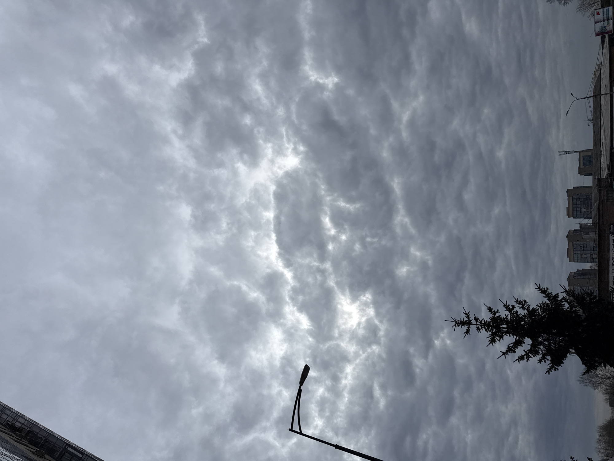 The image, oriented sideways in its original presentation but depicting an upright scene, showcases an expansive, heavily clouded sky that fills most of the frame. The clouds are a mix of dark and lighter greys, with some brighter areas suggesting sunlight attempting to break through the overcast conditions.
In the lower portion of the scene (right side of the provided image), various urban elements are visible. A prominent, dark silhouette of a modern streetlight curves upwards from the lower-middle. To its right, a dense, dark green coniferous tree, possibly a spruce or fir, stands against the cloudy background, its branches clearly outlined. Further to the right and in the background, several multi-story buildings with a somewhat industrial or residential appearance are visible.
Above these buildings, near the top right corner of the frame (upper right of the provided image), a billboard or sign displays faint Cyrillic text. Upon closer inspection, the text "АВТОШКОЛА" (meaning "DRIVING SCHOOL") can be discerned. A dark, angular structure, possibly the edge of another building or roof, is partially visible in the lower-left foreground (bottom left of the provided image).
The scene is set in an urban environment in Krasnoyarsk, Russia, during what appears to be daytime, under an entirely overcast sky. There are no people visible, and no specific activity is taking place, presenting a static view of the cityscape under a cloudy sky. The overall atmosphere is muted and somewhat somber due to the lack of direct sunlight and the predominant grey tones.