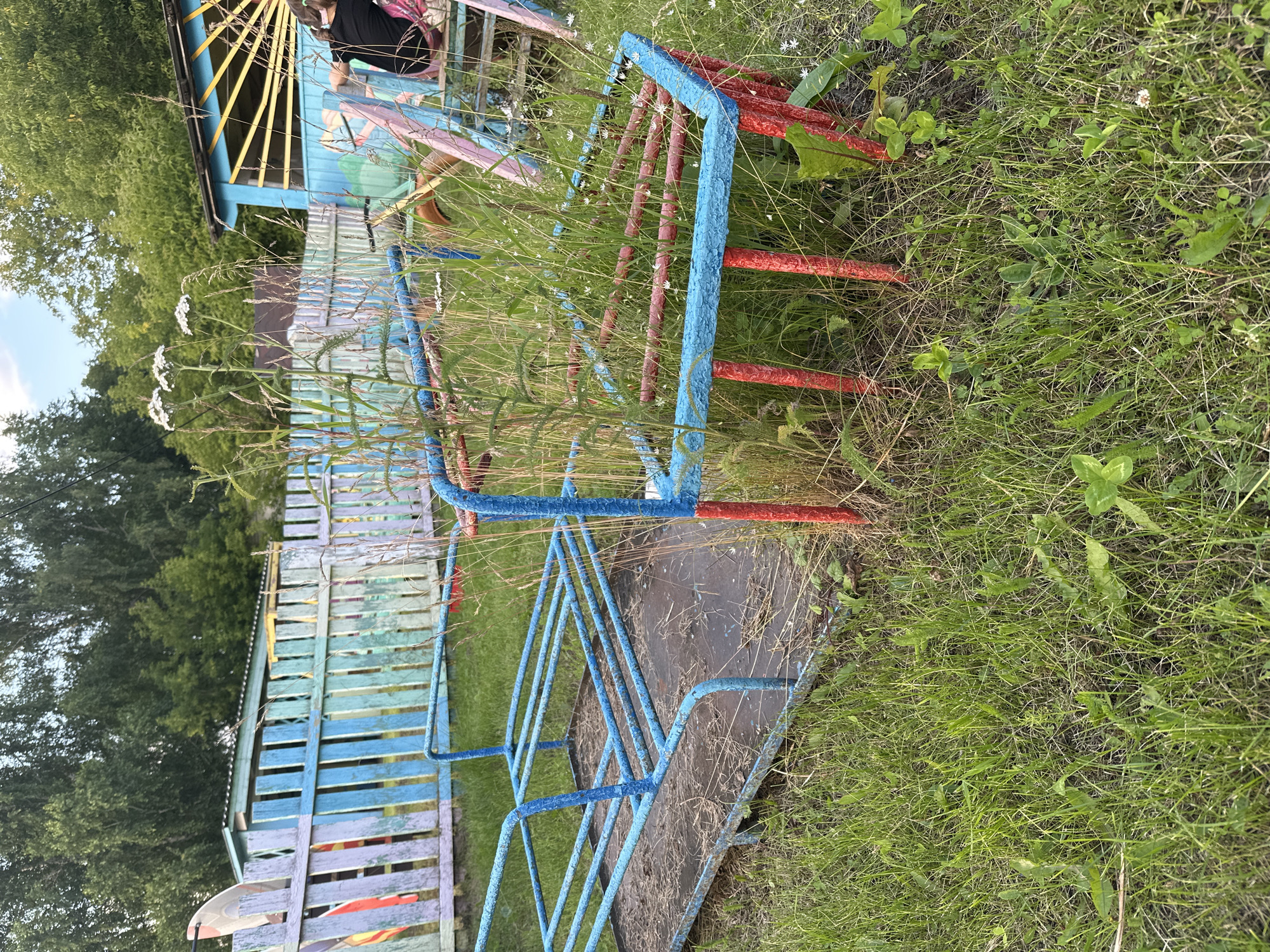 The image depicts an outdoor scene in Yaroslavka, Russia, featuring a neglected playground area. In the foreground, a blue metal merry-go-round frame, partially rusted, is overgrown with tall grass and small white wildflowers. The merry-go-round's base is a flat metal platform covered in debris. Adjacent to it, another section of playground equipment, also blue and red, is similarly encroached by vegetation.
In the background, a weathered, colorful wooden fence separates the playground from a dense line of trees. Behind the fence, a small, light blue structure with a yellow-trimmed roof, possibly a shed or playhouse, is visible. A person wearing a dark shirt and light-colored pants is seated on a pink and blue structure, partially obscured by grass and foliage, facing away from the camera. The overall impression is one of disuse and natural overgrowth reclaiming a once-active recreational space.