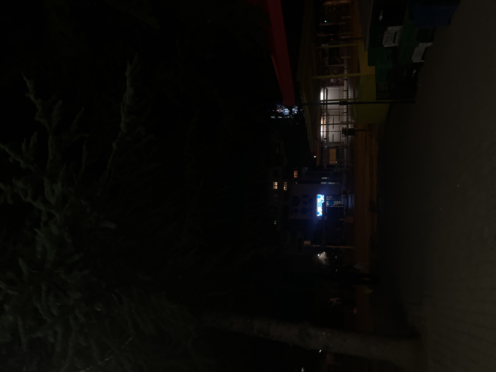 The image depicts a nighttime scene, likely in Sofia, Bulgaria, featuring a dark environment with limited visibility. In the foreground, a tree obscures much of the view. In the middle distance, illuminated buildings are visible, including one with a blue sign. Further back, another brightly lit building is discernible. The overall scene suggests an urban setting at night with varying degrees of artificial lighting.