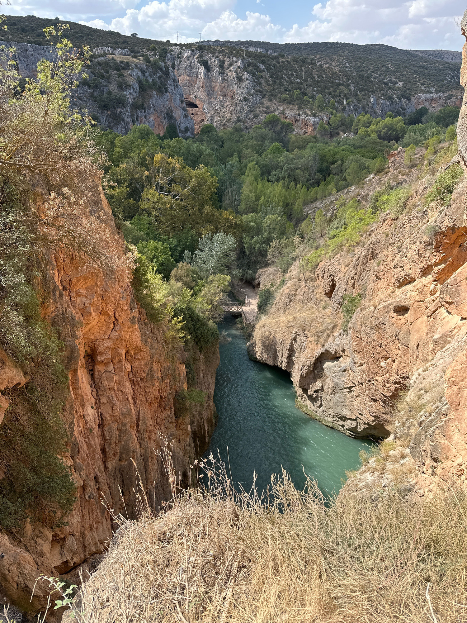 The image displays a breathtaking canyon scene in Nuévalos, Spain, featuring the turquoise waters of the Mesa de los Santos flowing through a deep gorge. Steep, reddish-brown rock cliffs, characterized by layered formations and sparse vegetation, flank the river on both sides. The canyon walls are rugged and uneven, with visible cracks and crevices. A wooden bridge, featuring an X-shaped railing design, spans the river in the middle ground, connecting the two sides of the gorge. Dense green foliage covers the upper slopes and canyon floor, with a variety of trees and shrubs creating a stark contrast to the barren rock faces. The sky above is partly cloudy, with white cumulus clouds against a pale blue backdrop. The foreground is dominated by dry, brittle grass and small, wispy plants, suggesting a dry climate. The overall impression is one of natural grandeur and serene beauty, showcasing the dramatic landscape of this Spanish location.