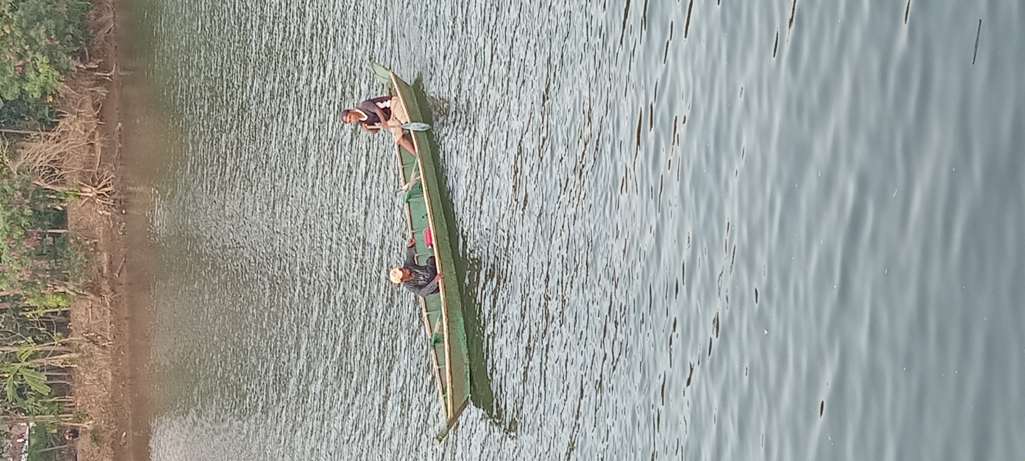 Two individuals are seated in a narrow, long, green wooden boat on a body of water, likely a river or lake. The boat is positioned in the center of the frame, facing towards the right. The person in the front, on the left, is wearing a light-colored cap and a dark long-sleeved shirt with a patterned design. This individual is looking towards the right. The person in the back, on the right, is wearing a cap and a dark short-sleeved shirt with a white trim on the sleeves and collar. This person is holding a paddle. The water exhibits ripples, indicating movement. The background features a muddy shoreline with vegetation, including trees and some dry branches. The overall impression is of a rural or natural environment. Based on the provided context, this scene is located in the city of Kalipucang, Indonesia.