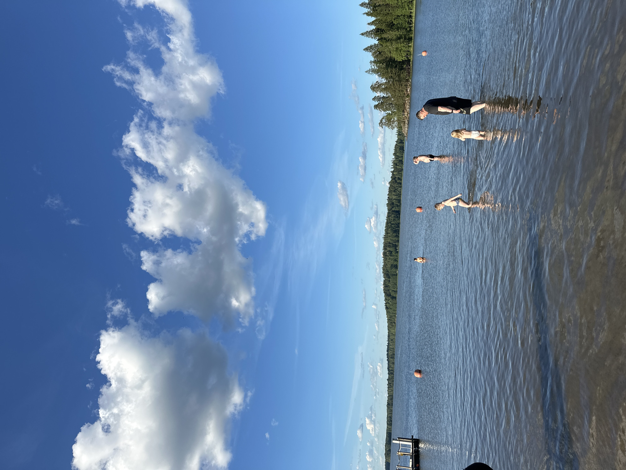 In an outdoor scene, a man and three children stand in shallow water at the edge of a lake. The man, wearing a black t-shirt and shorts, is facing away from the camera. A young girl in a white swimsuit stands to his left, and a boy in blue swim trunks stands further to the left, facing the water. Another child, partially submerged in the water, stands in the background to the left of the man. The lake extends to a tree-lined horizon under a bright blue sky dotted with white clouds. Orange buoys are visible in the water. A pier is on the left side of the image. The overall scene depicts a leisurely day at the lake.