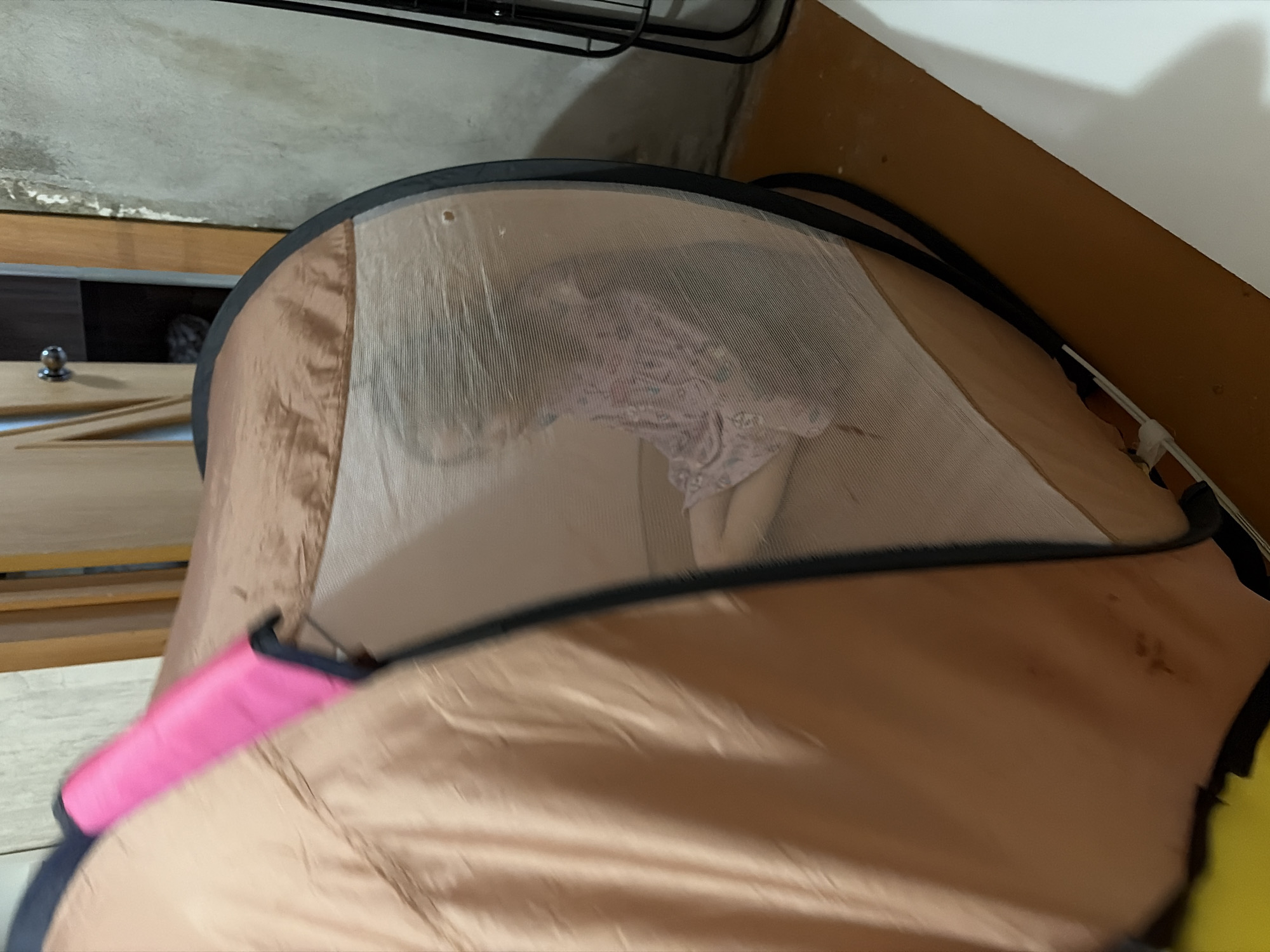 A young girl wearing a pink and white patterned pajama set sits inside a brown and black mesh tent. The tent is partially open, revealing the girl seated on the floor. The tent is located indoors, with a wooden door and a concrete wall visible in the background. The scene appears to be within a residential setting. The image does not contain any information indicating its location in the city of Tambov, Russia.