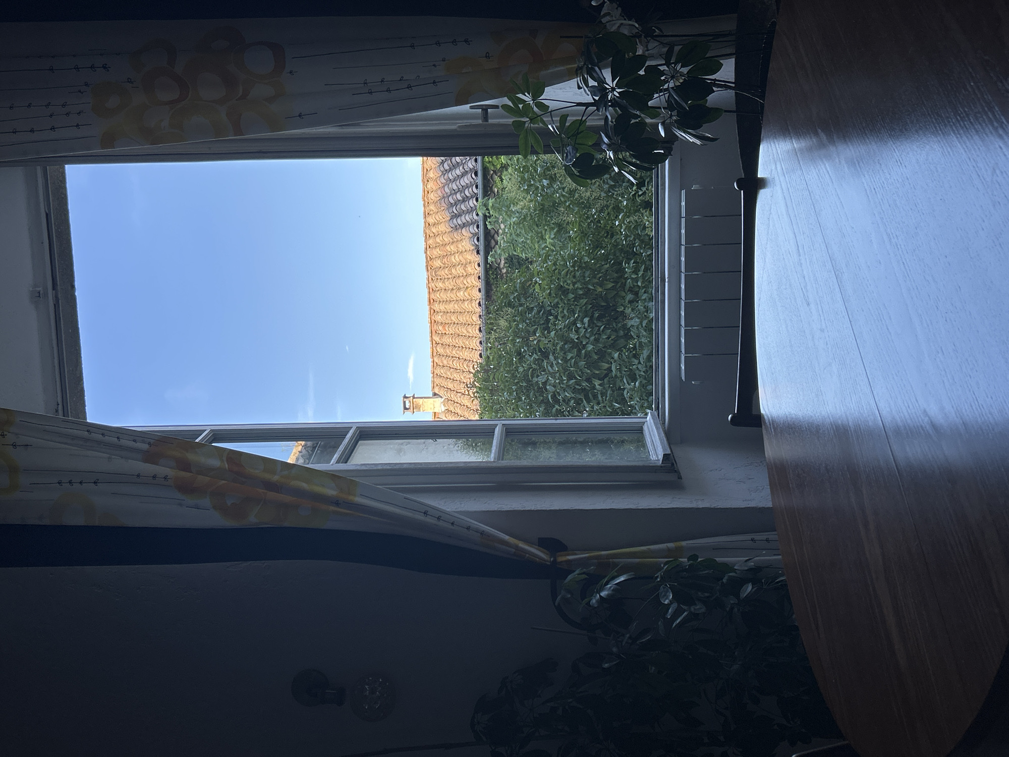 The image depicts an indoor scene looking out of an open window onto a residential rooftop and trees. In the foreground, a dark, polished wooden table occupies the lower half of the frame, reflecting the light from the window. To the left, a large potted plant with dark green leaves is partially visible. To the right, another potted plant with similar foliage is situated near the window. The window itself has white frames and is open, revealing a clear blue sky above. Through the window, a tiled terracotta roof is visible, along with dense green foliage from trees or bushes. A white radiator is positioned below the window. The room's interior is dimly lit, with a patterned curtain on the left and right sides of the window. The overall impression is one of a tranquil, domestic setting, likely a dining or living area, with a view of a sunlit outdoor environment in Saint-Marcel-lès-Sauzet, France.