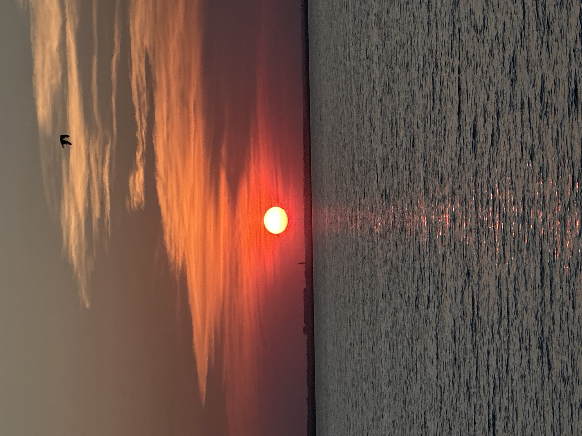 A serene sunset is captured over a body of water, likely a lake, with a distant shoreline. The sun, a bright orb of orange and yellow, is positioned low on the horizon, casting a warm glow across the sky. The sky is a canvas of vibrant colors, ranging from deep reds and oranges near the sun to softer pinks and grays at the top. Wispy clouds are scattered across the sky, reflecting the sunlight. A single bird in silhouette is seen flying in the upper right quadrant of the image. The water in the foreground is calm, with gentle ripples reflecting the colors of the sunset, creating a shimmering path of light. On the distant shoreline, faint silhouettes of buildings are visible, suggesting a city or town. The overall scene is tranquil and picturesque, evoking a sense of peace and natural beauty. Based on the description of the Kokshetau region, this image likely depicts the sunset over Lake Borovoe or another lake in its vicinity.
