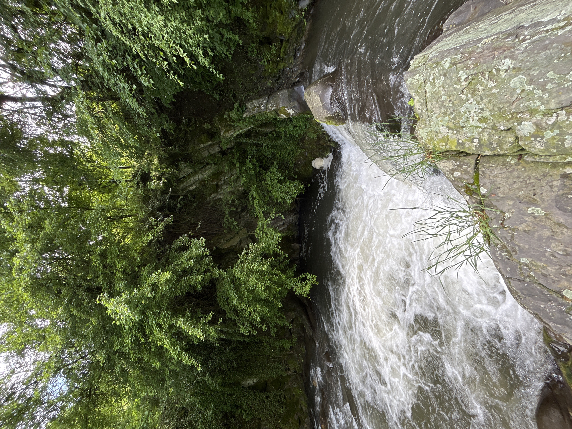 A low-angle shot depicts a waterfall in an unspecified location within the city of Unknown, Unknown. A rocky cliff edge occupies the right side of the frame, with sparse grass growing on its surface. A heavy volume of water cascades over the cliff, creating a white, frothy flow. A smaller stream is seen above the waterfall, flowing into the drop-off. The left side of the frame features dense green foliage, possibly a forest or thick growth of trees and bushes. The sky is not visible.