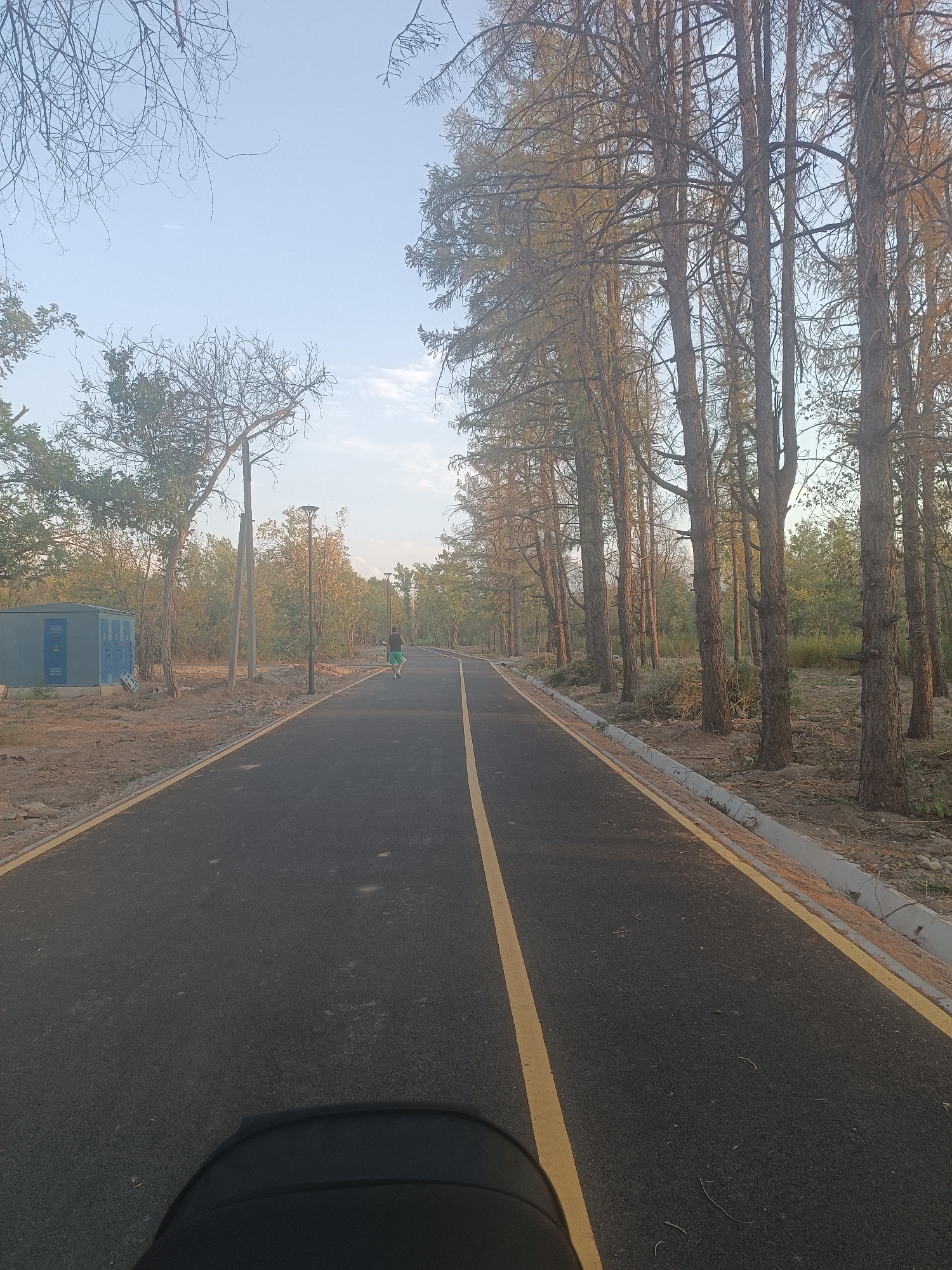 The image depicts a paved pathway lined with trees, running through a park-like setting. The pathway has a distinct yellow line down the center and a lighter yellow border on the sides. A person in green shorts and a lighter colored shirt is walking away from the camera on the pathway in the distance. To the left of the pathway, there is a grey electrical utility box. Tall, slender trees with sparse foliage line the right side of the pathway. The sky is a pale blue with some wispy clouds. The ground adjacent to the pathway appears to be unpaved and covered in dirt and debris. The overall impression is of a rural or suburban park area, possibly in the city of Bishkek, Kyrgyzstan, given the user's request.