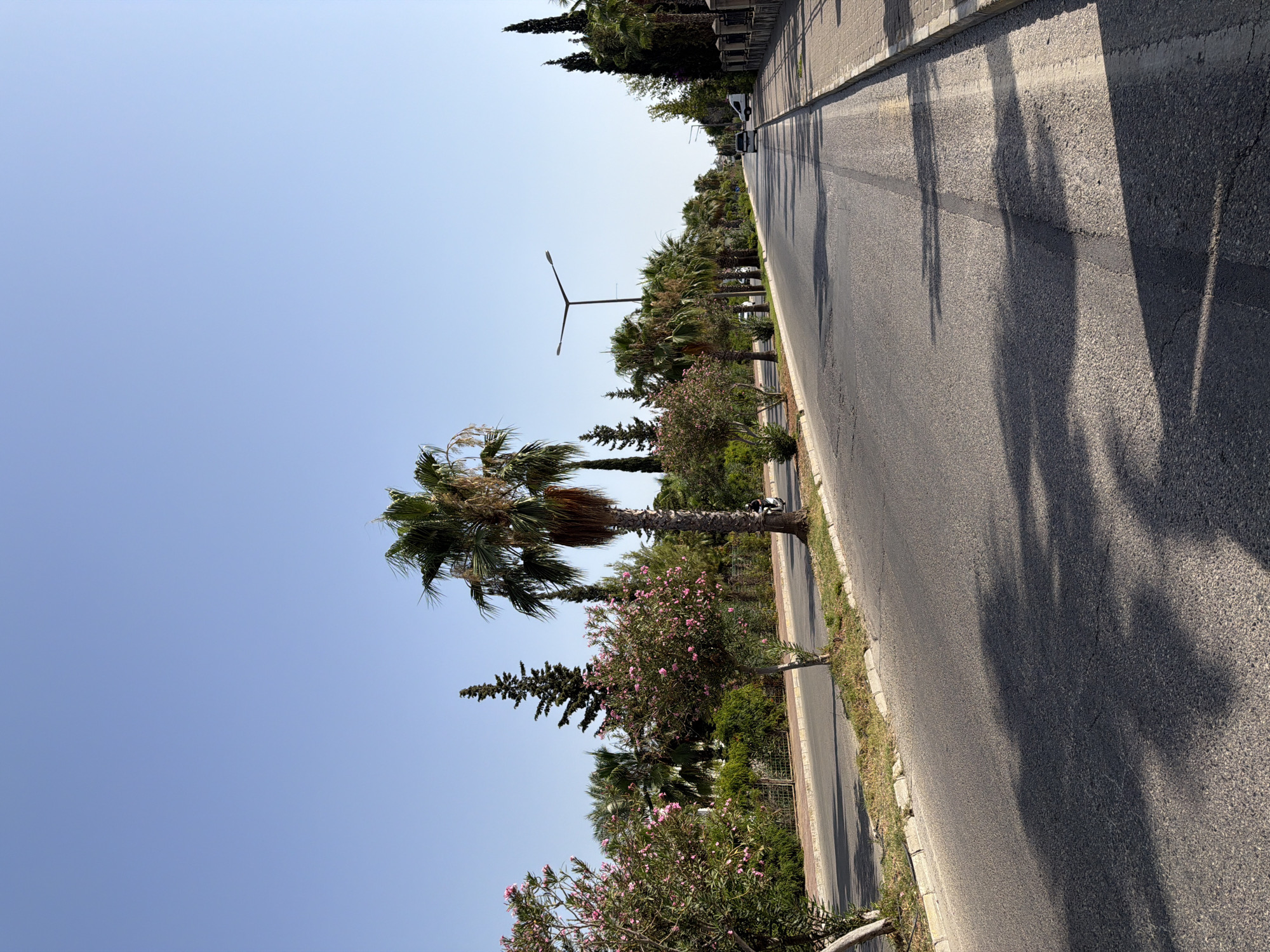 This is a photograph of a tree-lined street in Kemer, Turkey, under a clear blue sky. The street is paved and has a distinct line separating the lanes. On the left side of the street, there are several trees, including palm trees and a tree with pink flowers. There is also a sidewalk with a decorative fence. On the right side of the street, there is a sidewalk and more trees, including palm trees and tall, slender trees. The sun is casting shadows on the street, indicating it is daytime. There is a white van and a motorcycle visible on the street. The environment appears to be a well-maintained urban area, likely a resort town, with lush vegetation and pedestrian-friendly sidewalks.