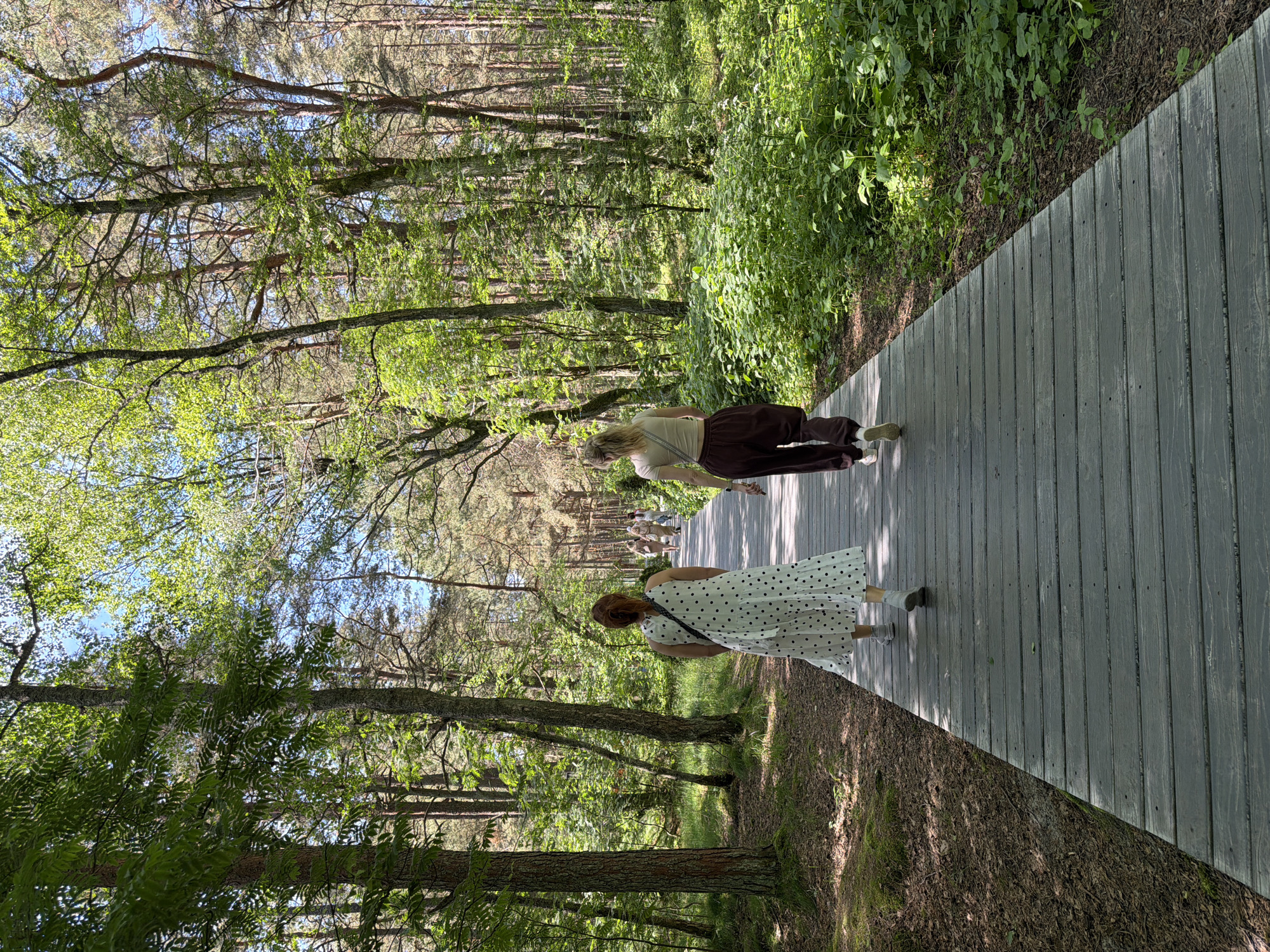 The image shows a boardwalk in a forest with two women walking on it. The woman in the foreground is wearing a white dress with black polka dots and has red hair. The woman behind her is wearing brown pants and a light-colored top and has blonde hair. The boardwalk is made of gray wooden planks and runs through a densely wooded area with tall trees and lush green undergrowth. Sunlight filters through the leaves, casting dappled shadows on the boardwalk and the forest floor. The overall atmosphere is peaceful and serene. The time of day appears to be daytime, and the weather seems pleasant with clear skies visible through the trees. The location is Morskoe, Russia, suggesting a natural, possibly park-like setting. There is no visible text in the image.