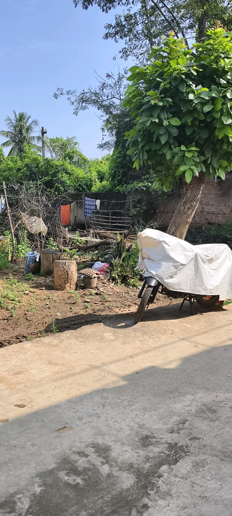 The image depicts a daytime scene outdoors, likely in a rural or semi-urban area of Dimidijola, India. In the foreground, a dirt path or road is visible, with a concrete surface on the right side. A motorcycle covered with a white tarp is parked on the right side of the frame, casting a shadow on the ground. Behind the motorcycle, a large tree with dense green foliage dominates the mid-ground. To the left of the tree, a rustic scene unfolds. A brick wall forms a backdrop, with laundry hanging on a clothesline, including a blue and white checkered cloth and an orange cloth. Scattered debris, including what appear to be wooden logs, a bucket, and other miscellaneous items, are present in the yard. The environment is characterized by overgrown vegetation and a somewhat unkempt appearance, suggesting a lived-in, functional outdoor space. The sky is clear and blue, indicating fair weather.