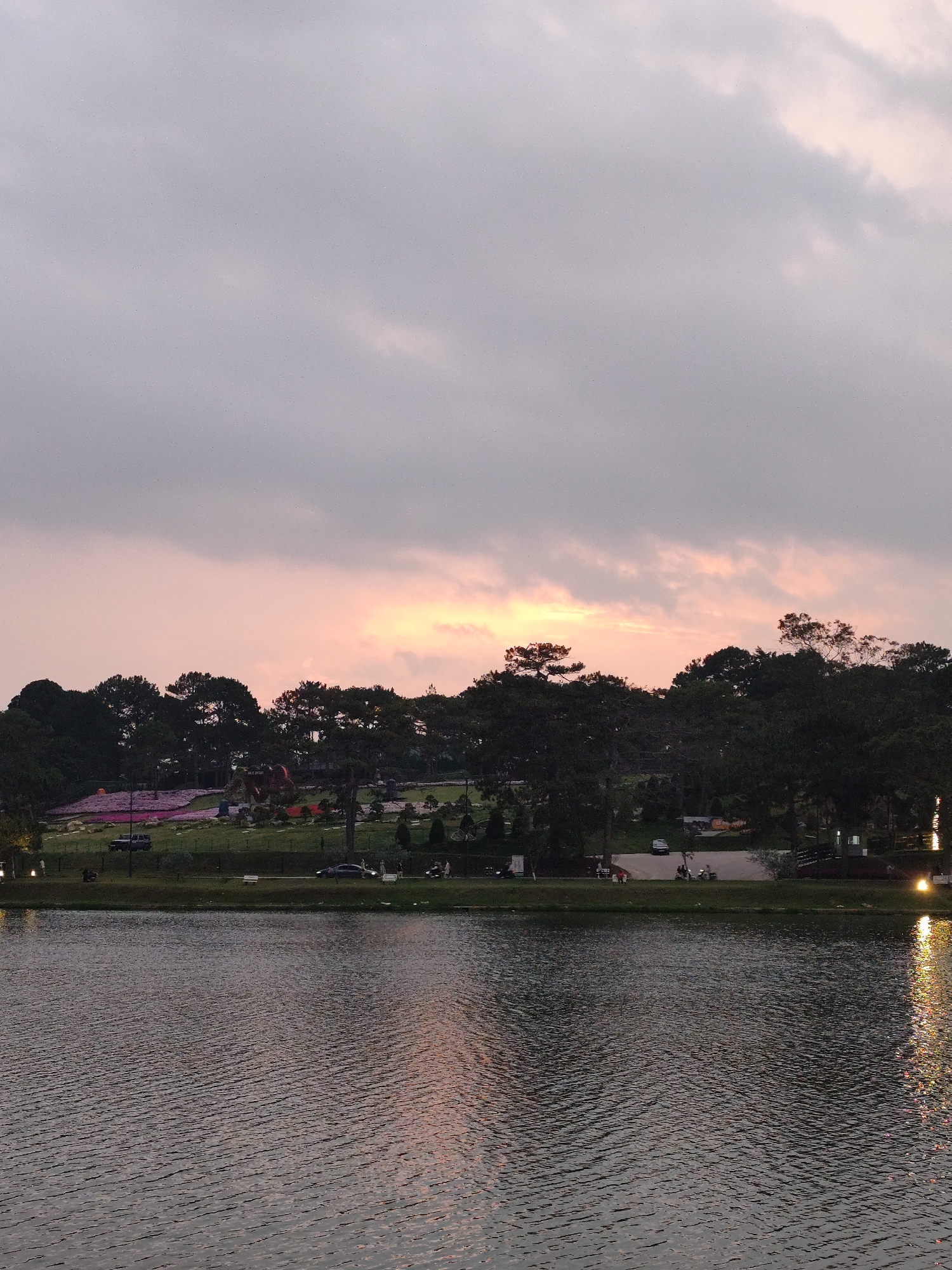This image captures a tranquil evening scene overlooking a lake towards a beautifully landscaped park or garden, located in Da Lat, Vietnam. The time of day is dusk or sunset, evidenced by the sky's gradient, which features soft grey clouds in the upper portion transitioning into a warm, peachy-orange glow at the horizon.
In the foreground, a wide body of water, likely a lake, fills the lower half of the frame. Its surface is gently rippled, reflecting the muted sky colors and several bright, artificial lights visible on the right bank, which cast shimmering vertical streaks onto the water.
Midground shows a strip of land separating the water from the hillside. This area includes a paved road or path where a few vehicles, such as a dark SUV/truck on the left and a dark sedan on the right, are present along with some motorcycles. Several people can be seen strolling or standing along this path.
The background is dominated by a sloping hillside covered in vibrant green grass and dense clusters of dark green trees, consistent with the pine forests common in Da Lat. The hillside features extensive, colorful flower beds, with a prominent patch of pink flowers visible on the left. Amidst the landscaping, a large decorative sign or structure displays the vertical text "ĐÀ LẠT," followed by what appears to be a year, possibly "2023" or "2024."
The overall scene conveys a sense of peace and serenity, characteristic of an evening landscape as daylight fades and artificial lights begin to glow. The weather appears calm with scattered clouds.