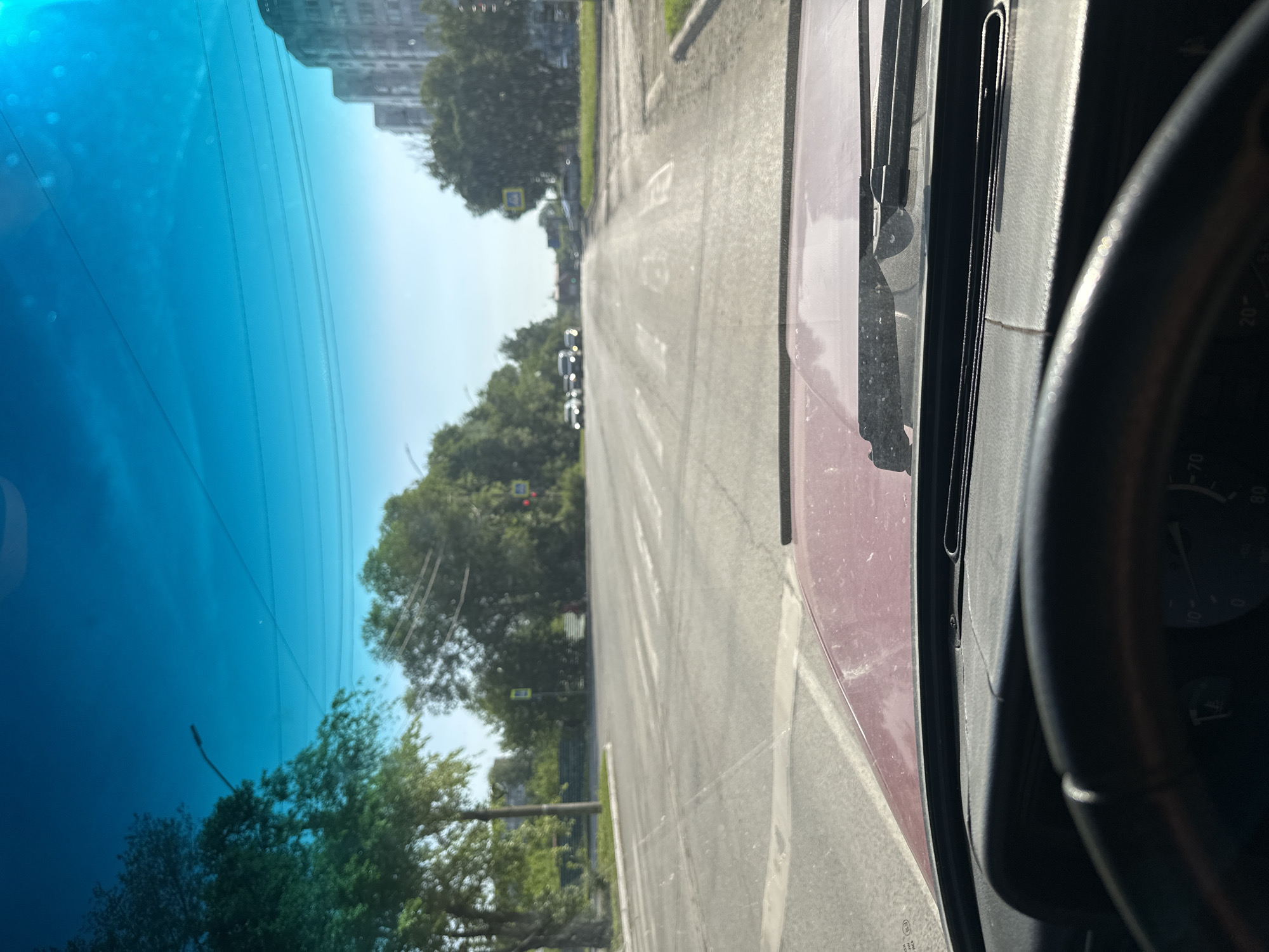 The image is taken from inside a car, looking forward through the windshield. The car is driving on a paved road with a pedestrian crossing. There are trees lining the road, and several cars are visible in the distance. Buildings are also present on the right side of the road. The sky is blue and clear. Based on visual cues such as road markings, building architecture, and vegetation, this scene is consistent with a street in Novoaltaysk, Russia.