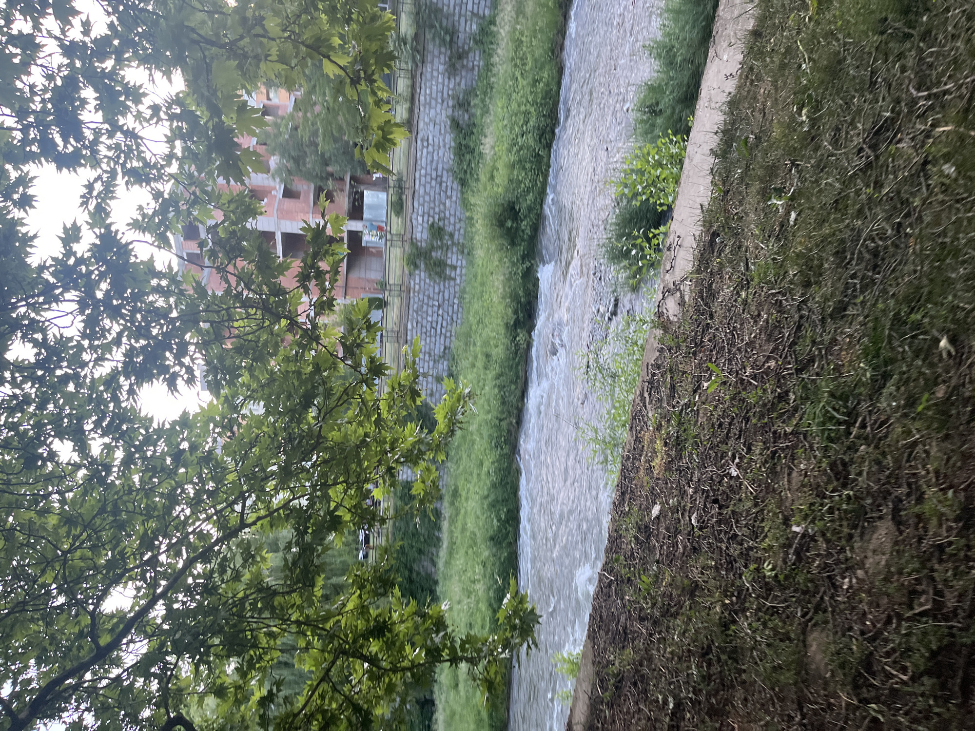 The image depicts a river scene in Blagoevgrad, Bulgaria. The river flows between stone and concrete embankments, with vegetation including grass and trees lining the banks. A building under construction is visible in the background. The perspective is angled, with the foreground consisting of a grassy area and tree branches partially obscuring the view.