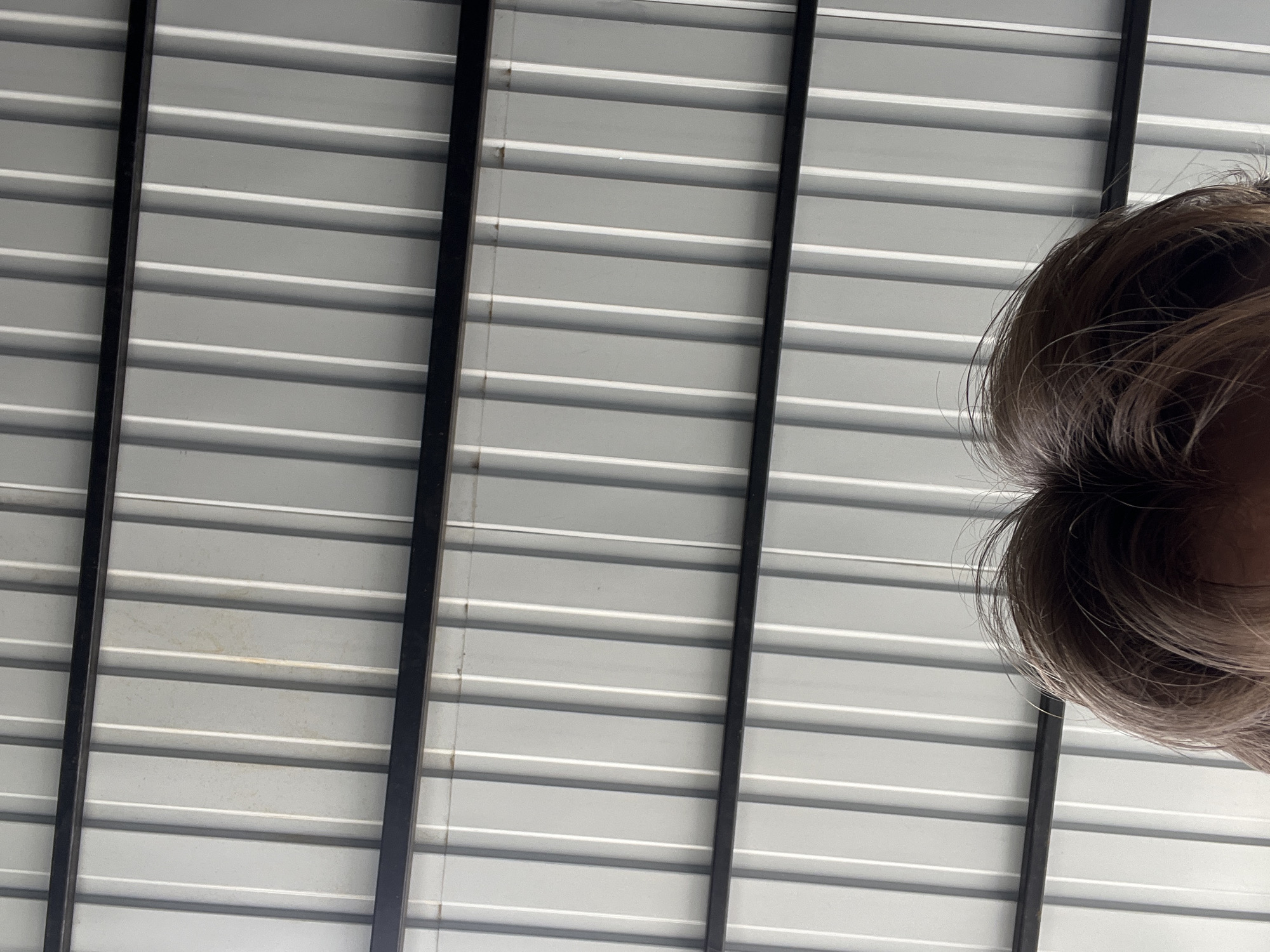 The image shows the underside of a corrugated metal roof, a common roofing material in industrial or utilitarian structures. The roof panels are light gray and run vertically, with darker gray or black support beams running horizontally across them. There are some light brown smudges or stains on the metal panels. In the lower portion of the image, the top of a person's head and some of their hair are visible. The hair is brown and appears slightly disheveled. The perspective suggests the photo was taken from below, looking up at the roof, with the person standing directly beneath it. The image does not contain any information about the specific location in Kyiv, Ukraine, or any actions or interactions beyond the implied presence of the person under the roof.