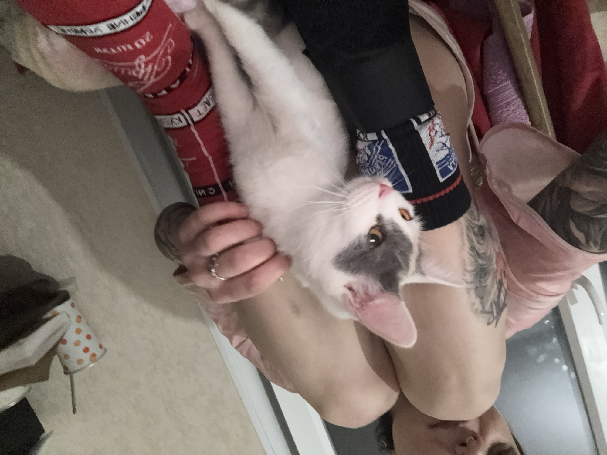 An individual is depicted indoors in Saint Petersburg, Russia, from a low-angle, eye-level perspective, seated or reclined with bent knees. The person's face is partially visible, showing dark hair, a nose piercing on the left nostril, and tattooed forearms. They are wearing a light pink, possibly satin, top. The left foot is adorned with a black sock featuring white and blue graphics, including a stylized figure. The right foot wears a red sock with white Cyrillic text, including "Кубань" and "20 ШТУК," consistent with Russian cigarette packaging. A silver-colored ring is visible on the ring finger of the left hand. A small, predominantly white cat with grey markings on its head and tail, and amber eyes, is nestled between the person's bent legs. The person's left hand is gently placed on the cat's back. The background reveals a blurry window to the left and a light-colored wall to the right. On a surface against the right wall, a white paper cup with orange polka dots containing a metal straw is positioned next to a stack of books. A red towel or fabric is visible in the lower left of the frame.