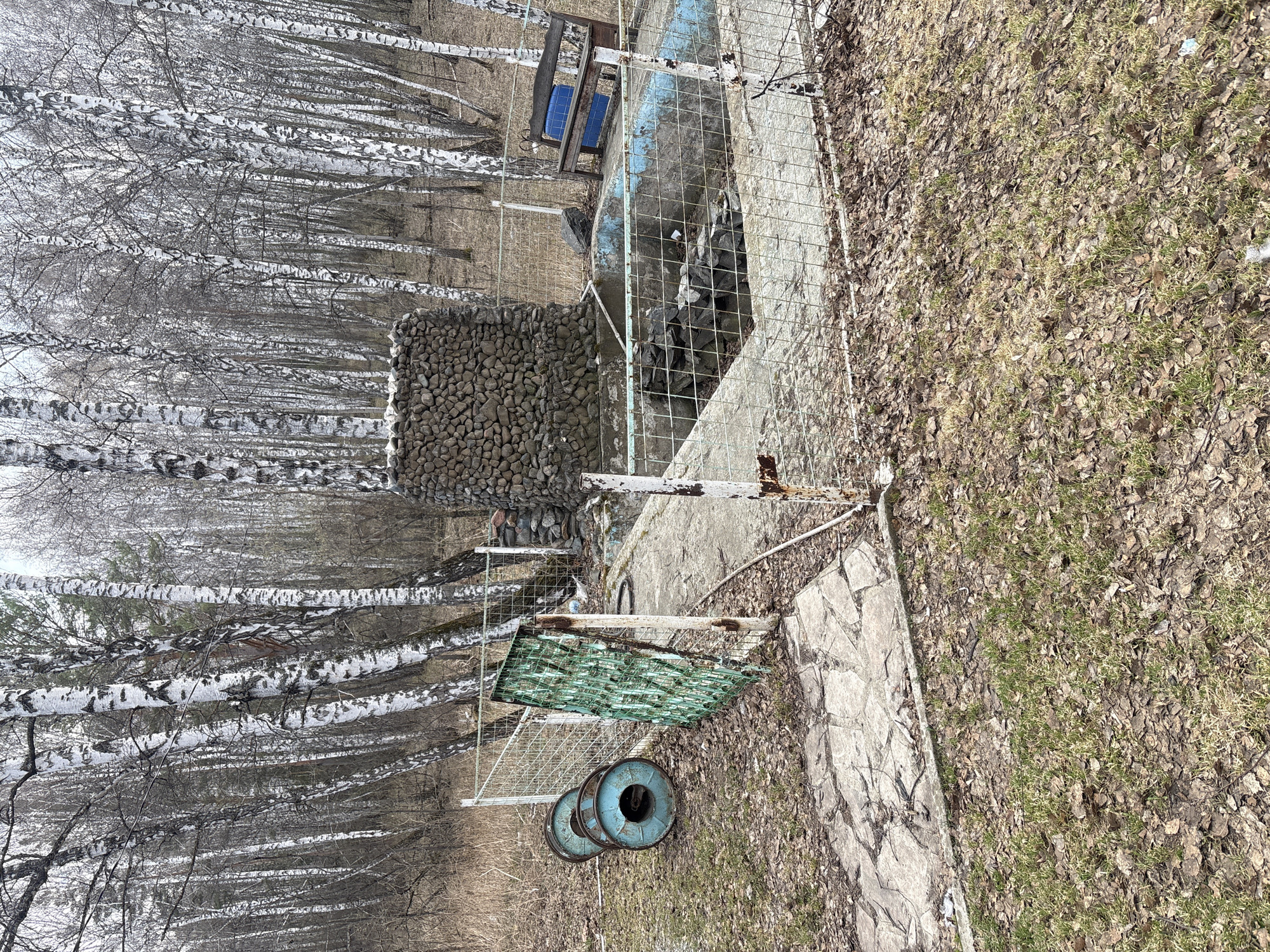 The image depicts an outdoor scene in Taskino, Russia, near a forest with numerous birch trees. The scene is partly a park or recreational area, as suggested by a stone fountain or structure, a bench with blue seats, and a section enclosed by a wire fence or railing. The ground is covered in dead leaves and patches of grass. In the foreground, three blue metallic wheels are present. A green, possibly mesh-covered, structure lies nearby. The overall impression is of a slightly dilapidated or abandoned park feature.