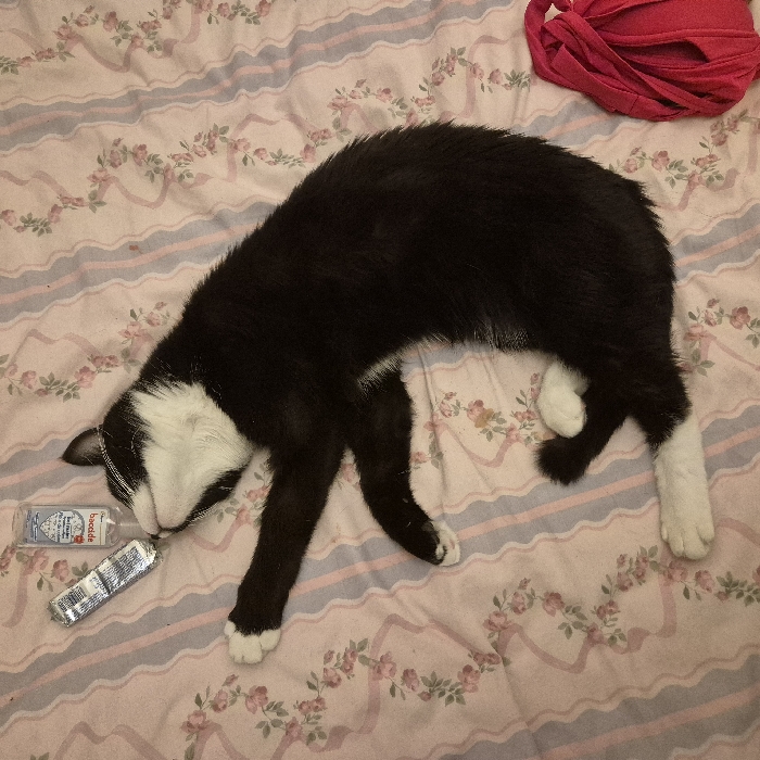 This indoor scene, located in Strasbourg, France, features a black and white cat in a state of repose on a patterned bedsheet. The cat lies on its back, oriented longitudinally with its head towards the upper left, eyes closed, suggesting sleep or deep relaxation. Its fur is predominantly black, with distinct white markings on its face, chin, chest, belly, and all four paws. Its front paws are extended upwards. Two small transparent bottles are positioned near the cat's head; the bottle closest to the cat's nose is labeled "Aniosgel Bacillol," identifying it as a hand sanitizer or disinfectant, and the adjacent bottle is smaller and features a metallic, reflective surface. A crumpled red fabric item is visible in the bottom right corner of the frame. The underlying bedsheet displays alternating light pink and pale blue horizontal stripes, overlaid with a repeating floral pattern of pink roses and green leaves.