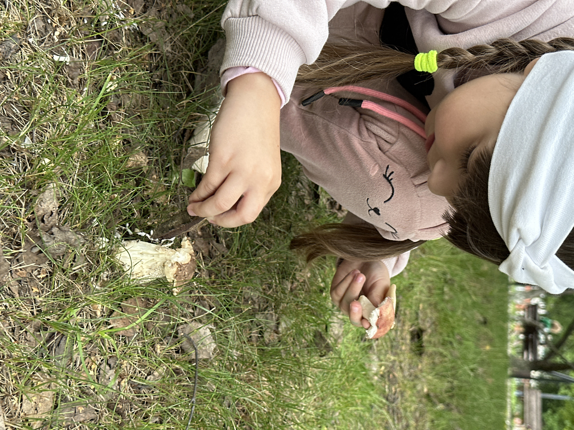 A young girl, wearing a pink hooded sweatshirt and a white headband, is crouched in a grassy area, examining mushrooms. She has dark hair styled in braids, secured with yellow hair ties. In her right hand, she holds a small mushroom. Her left hand is near another, larger mushroom growing in the grass, and she appears to be using a small object, possibly a knife or stick, to interact with it. The ground is covered in green grass and fallen leaves. In the background, out of focus, are trees and park benches, suggesting an outdoor setting. The image does not provide specific details to pinpoint the location within Chaikovsky, Russia, beyond it being a park or similar green space.