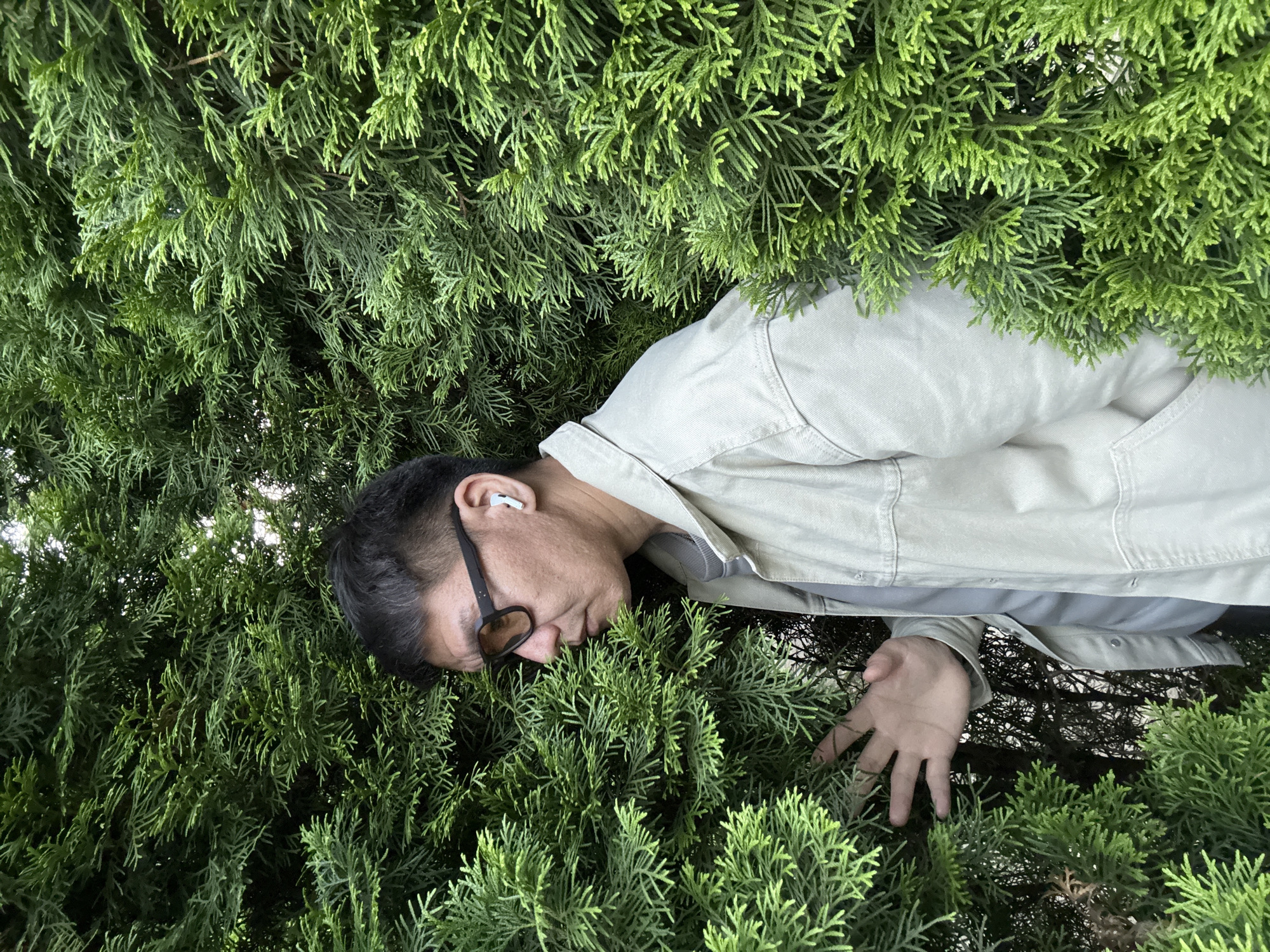 A man lies amidst dense green foliage, his body mostly obscured by the leaves of what appears to be a conifer. He is wearing a light-colored jacket over a grey shirt and dark sunglasses. An earbud is visible in his left ear. His face is turned downwards, with his right hand resting on the foliage. The foliage is lush and green, suggesting a natural setting. The lighting indicates it is daytime, and the overall scene is serene. No text is visible in the image. The location is identified as Moscow, Russia.