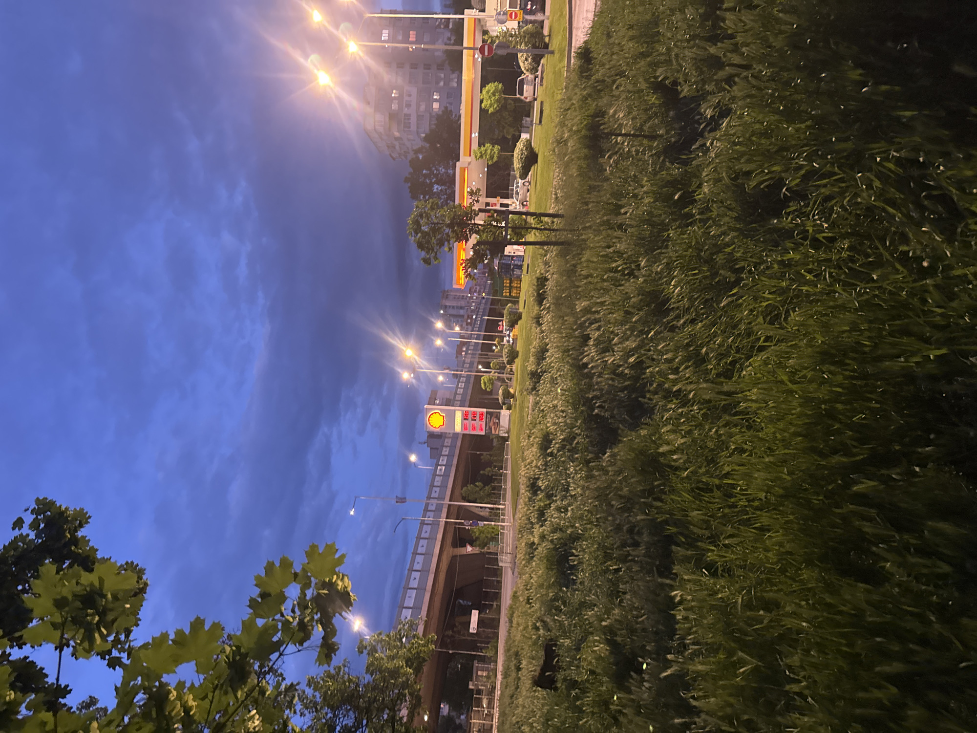 Captured at dusk in an unidentified city, the scene features a Shell gas station brightly lit against a backdrop of buildings, a highway overpass, streetlights, and a partly cloudy sky. Tall grass lines the side of the frame, and trees are visible near the bottom.